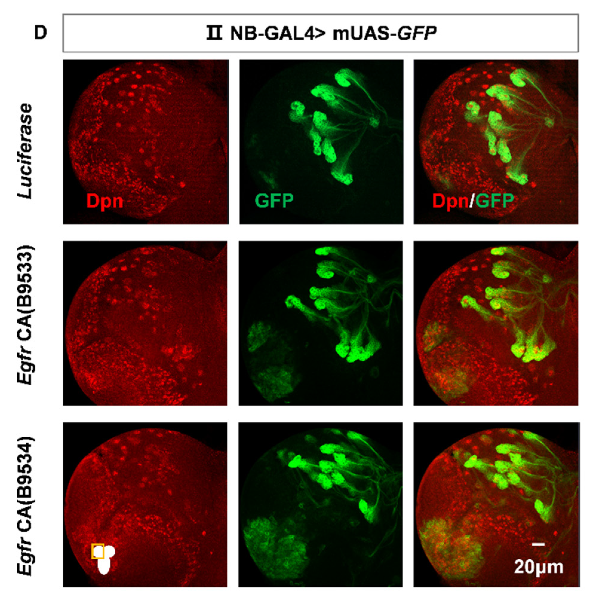 Preprints 177859 g006b
