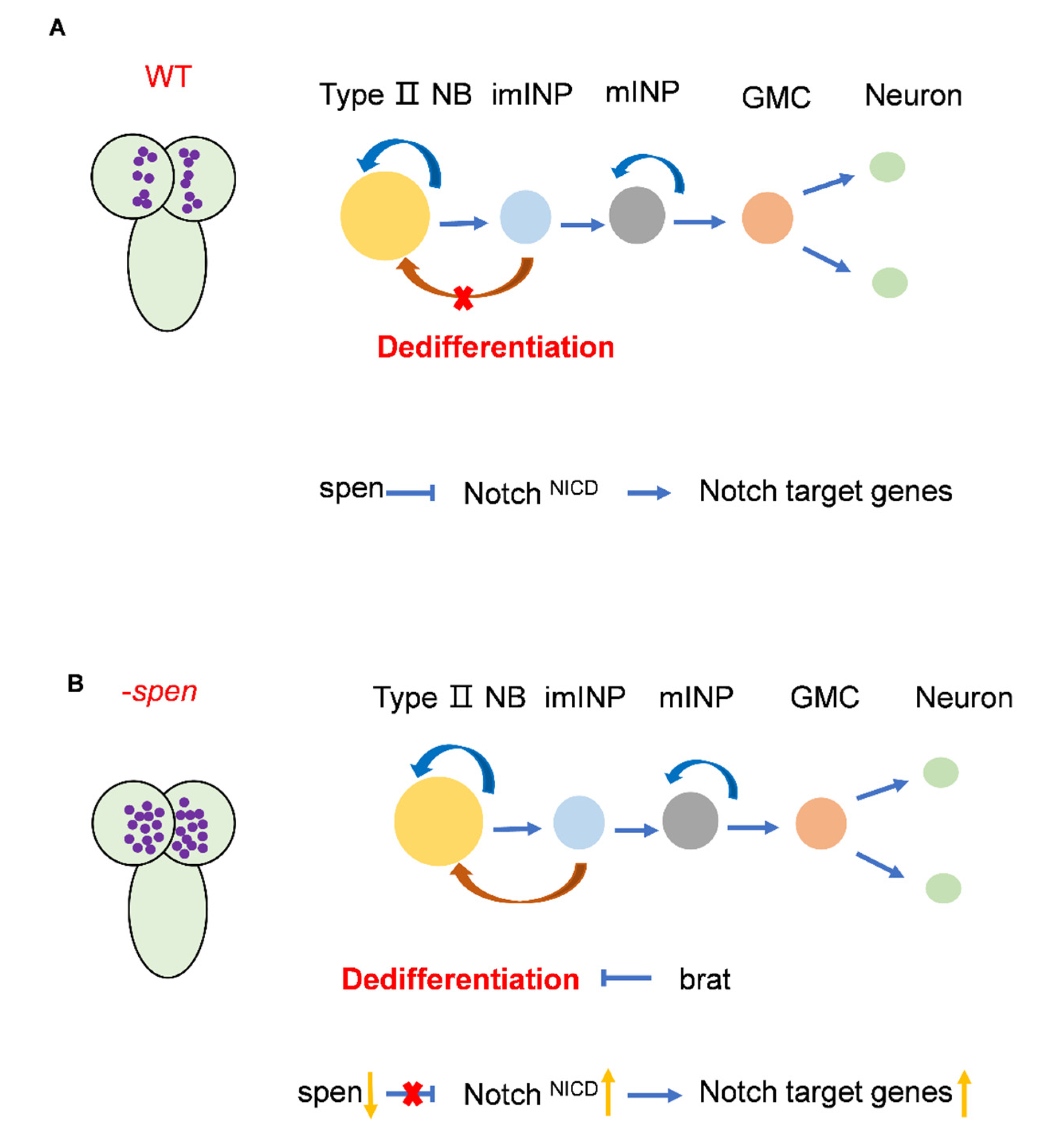 Preprints 177859 g007