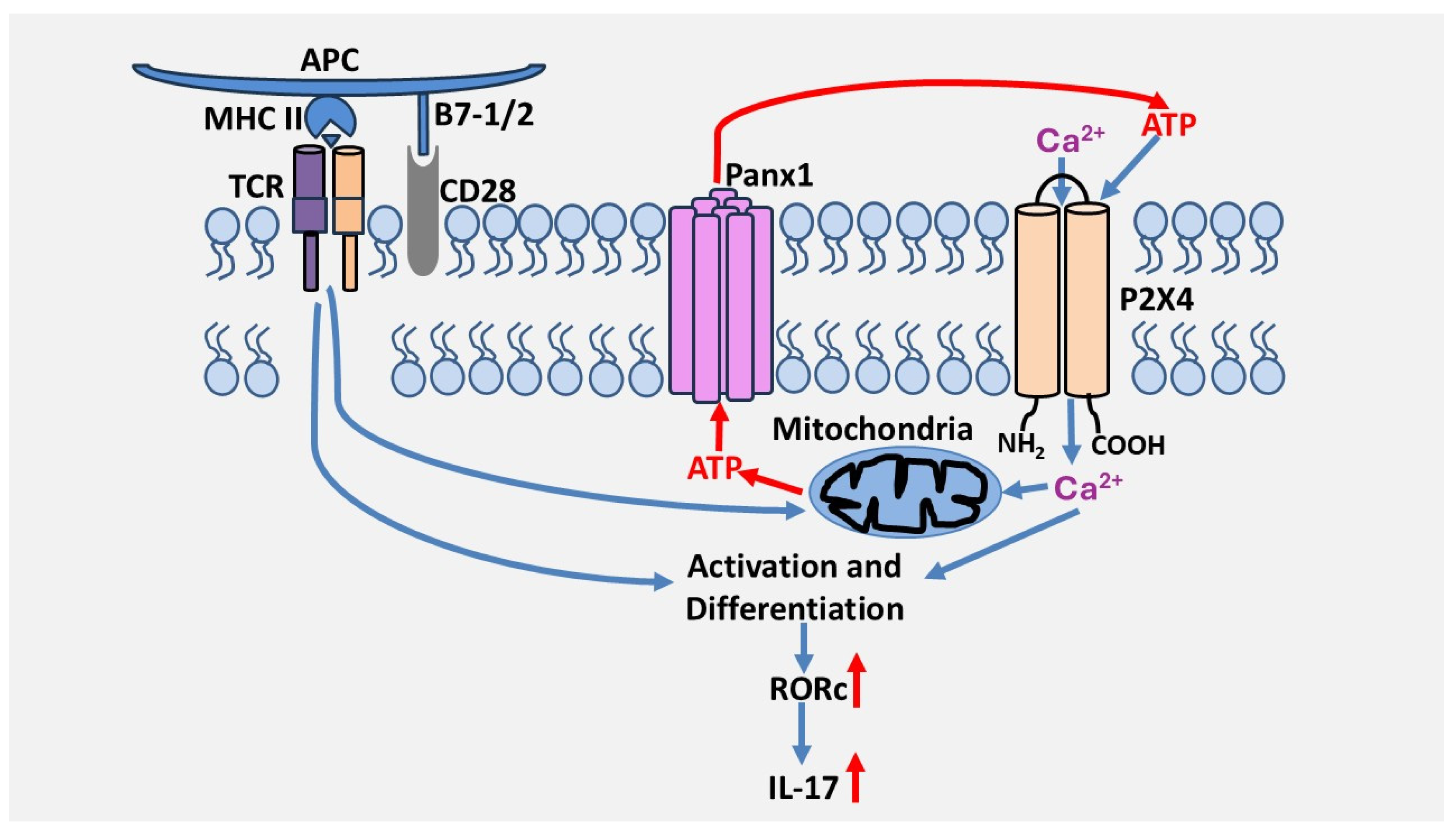 Preprints 172644 g002