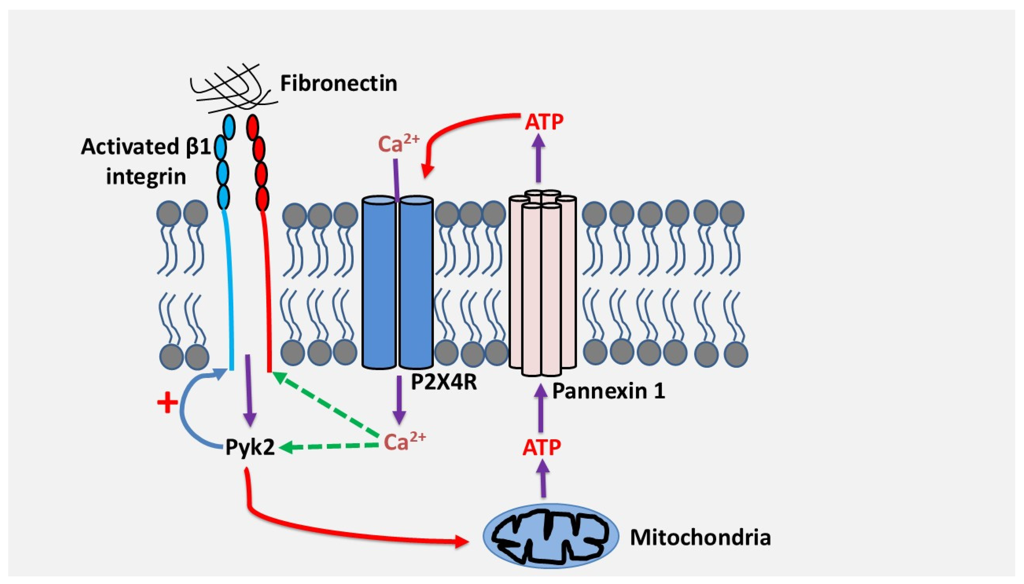 Preprints 172644 g003