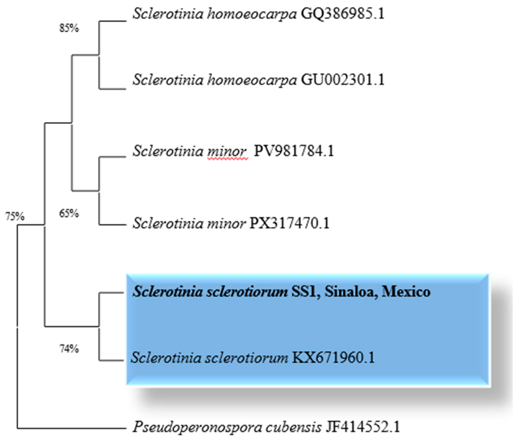 Preprints 183721 g001