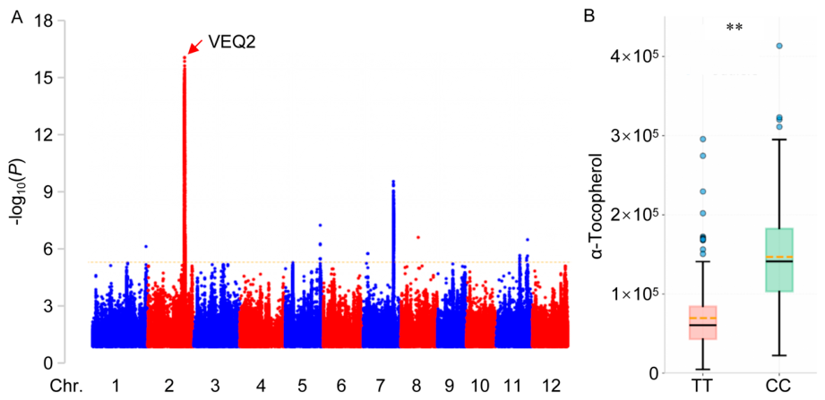 Preprints 230020 g001