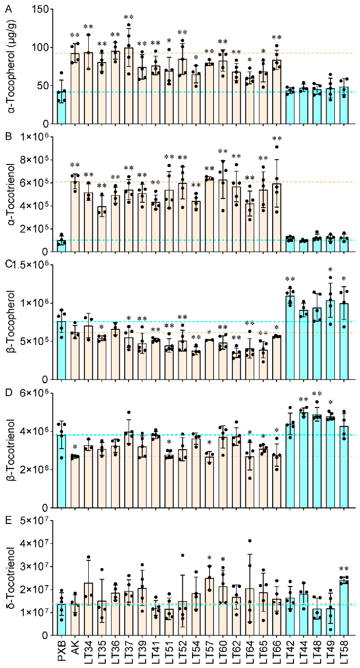Preprints 230020 g004