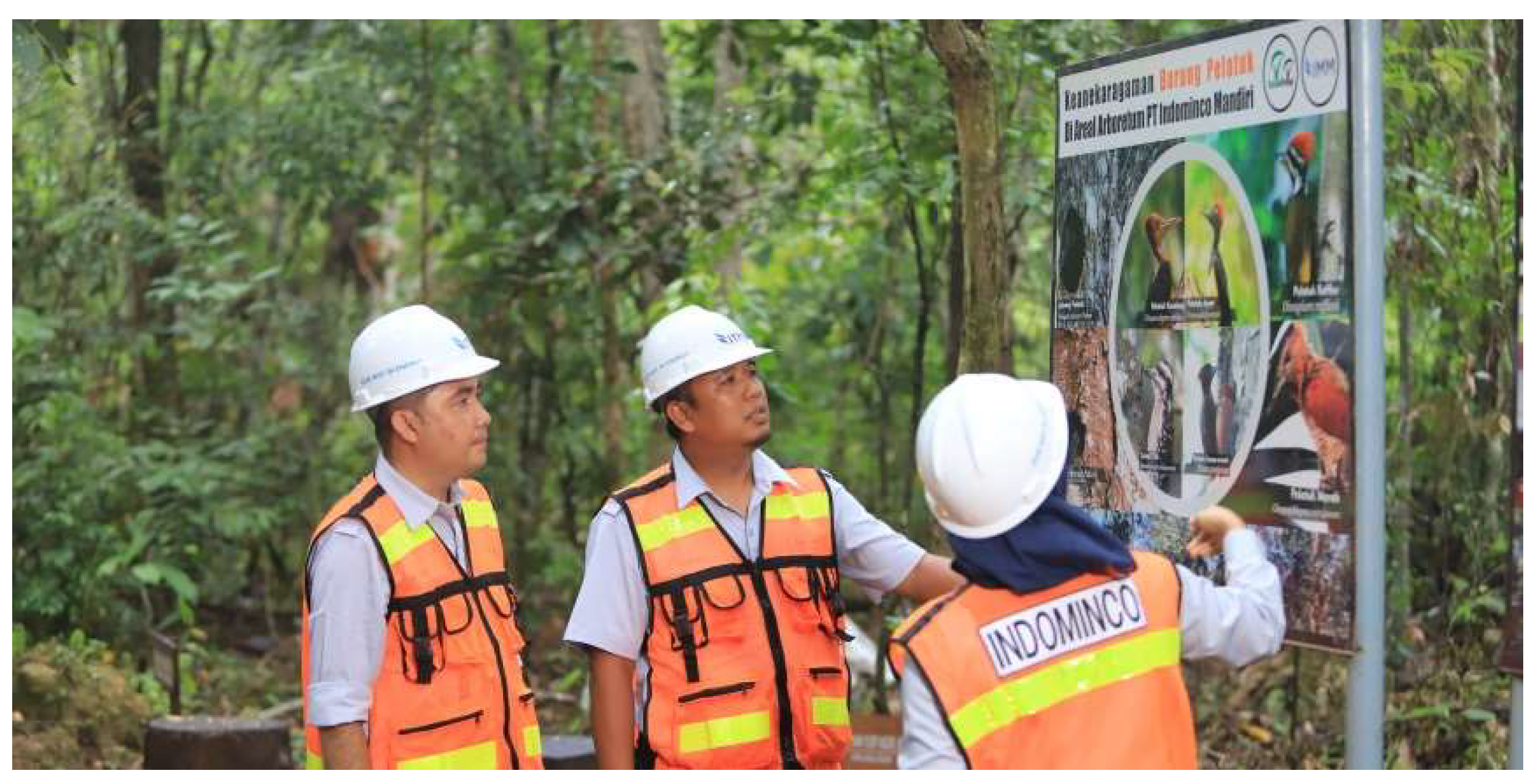 Preprints 156385 g005