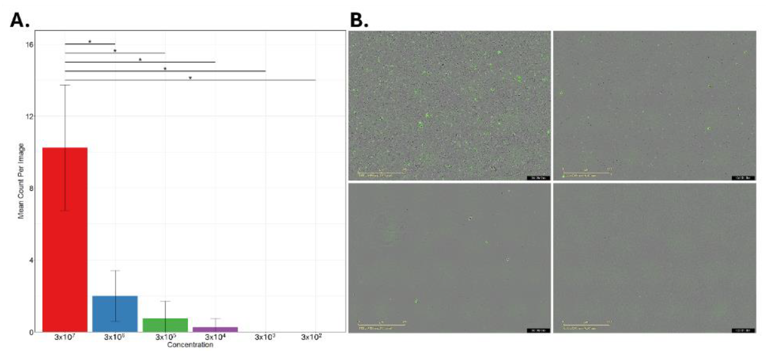 Preprints 225423 g001