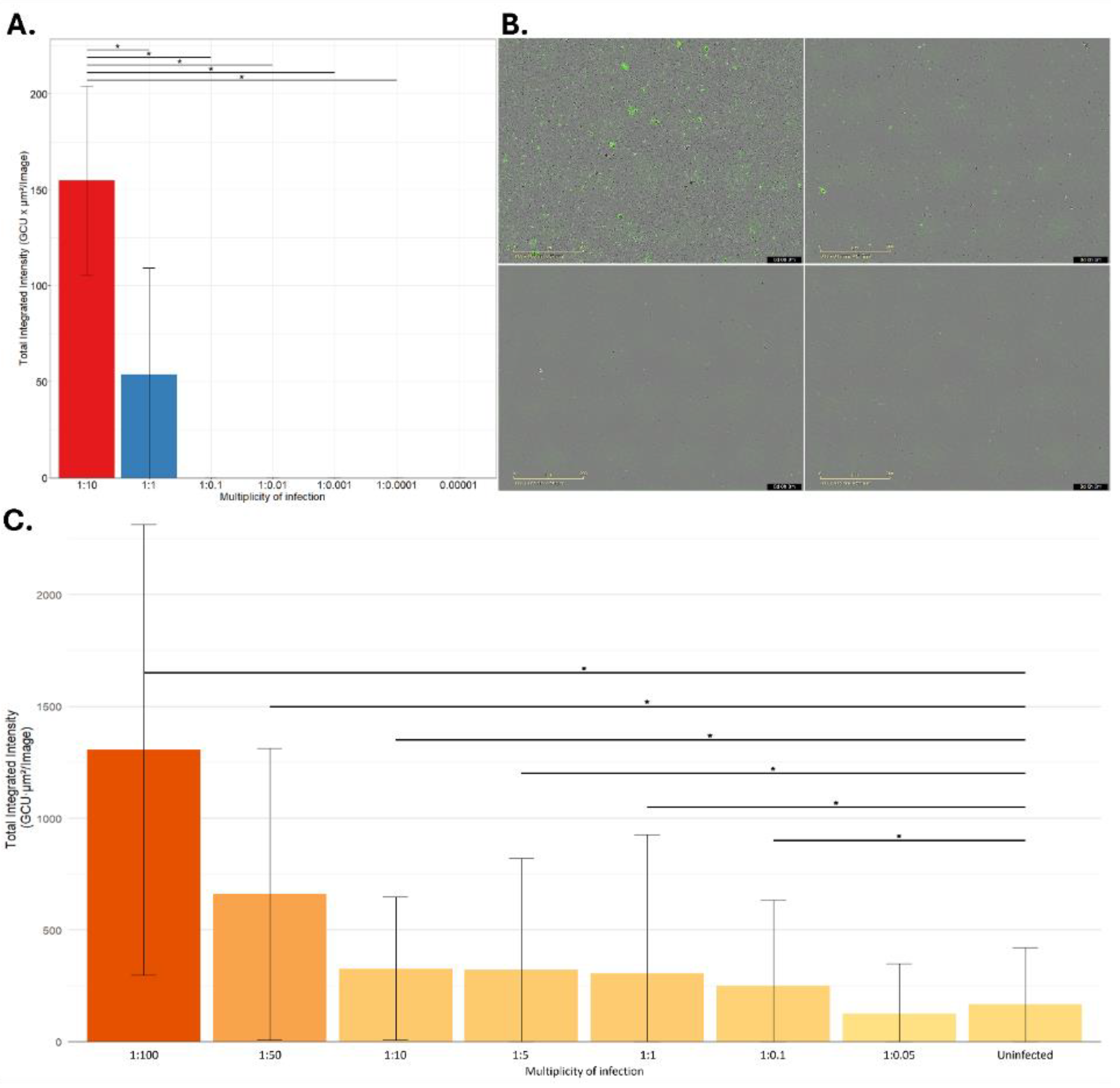Preprints 225423 g003