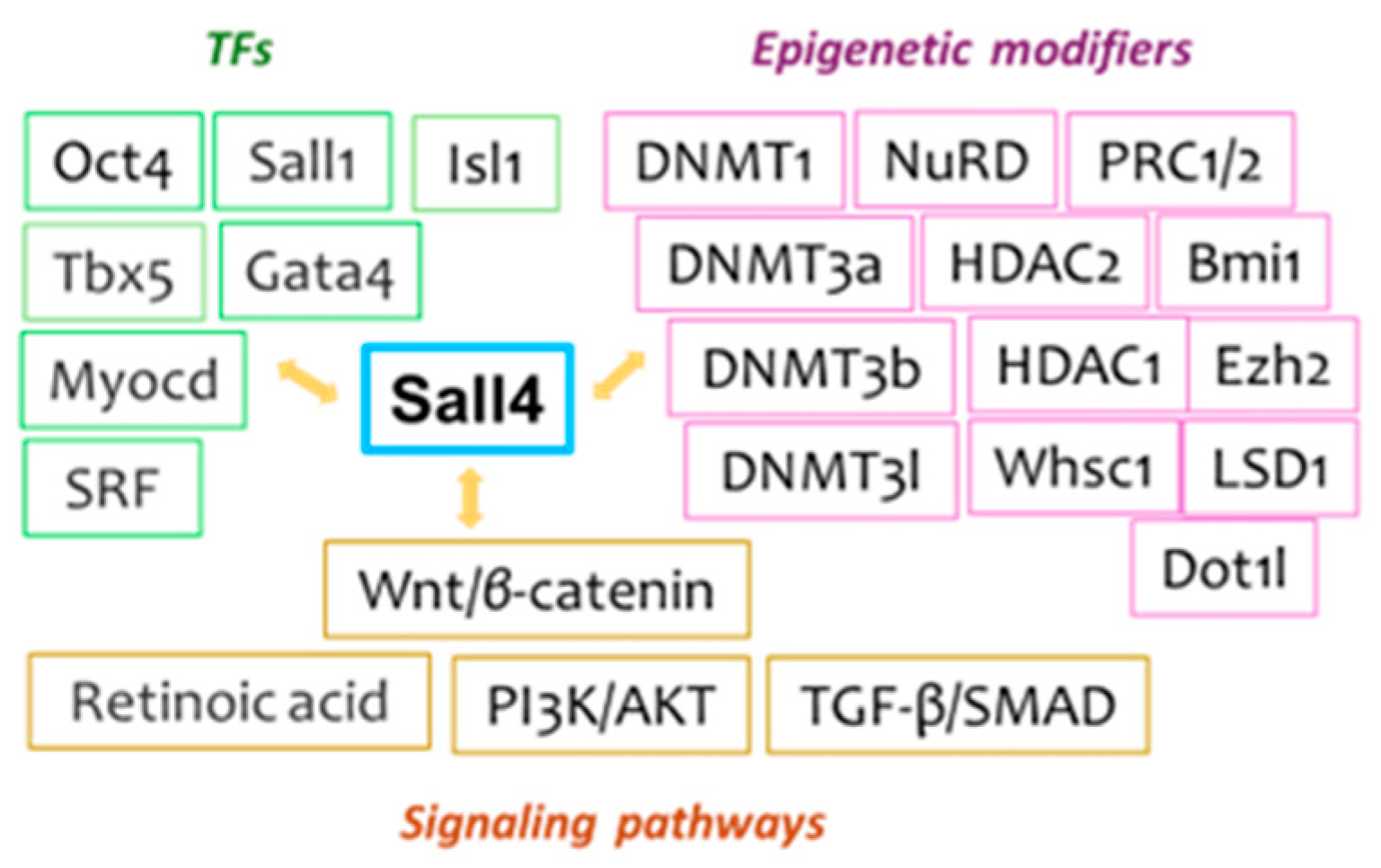 Preprints 144427 g001