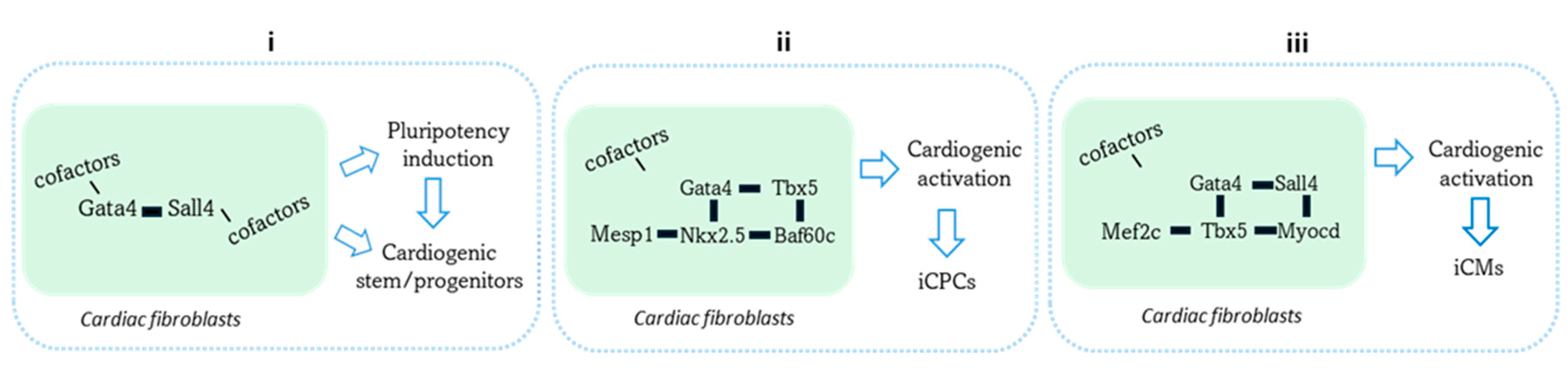 Preprints 144427 g002