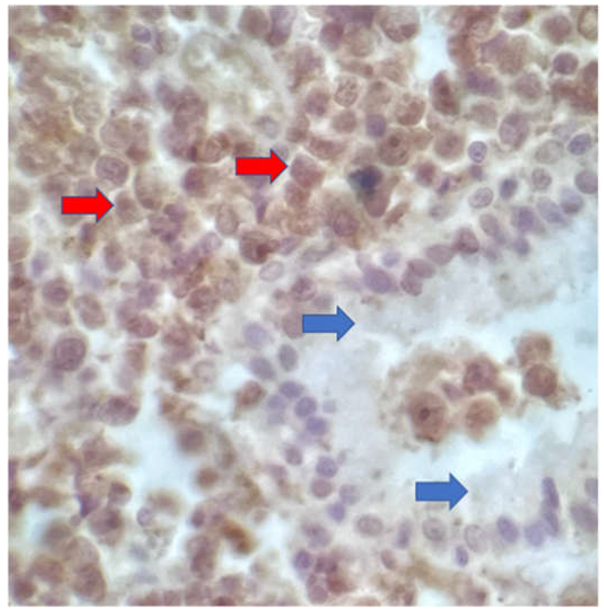 Preprints 117652 g004