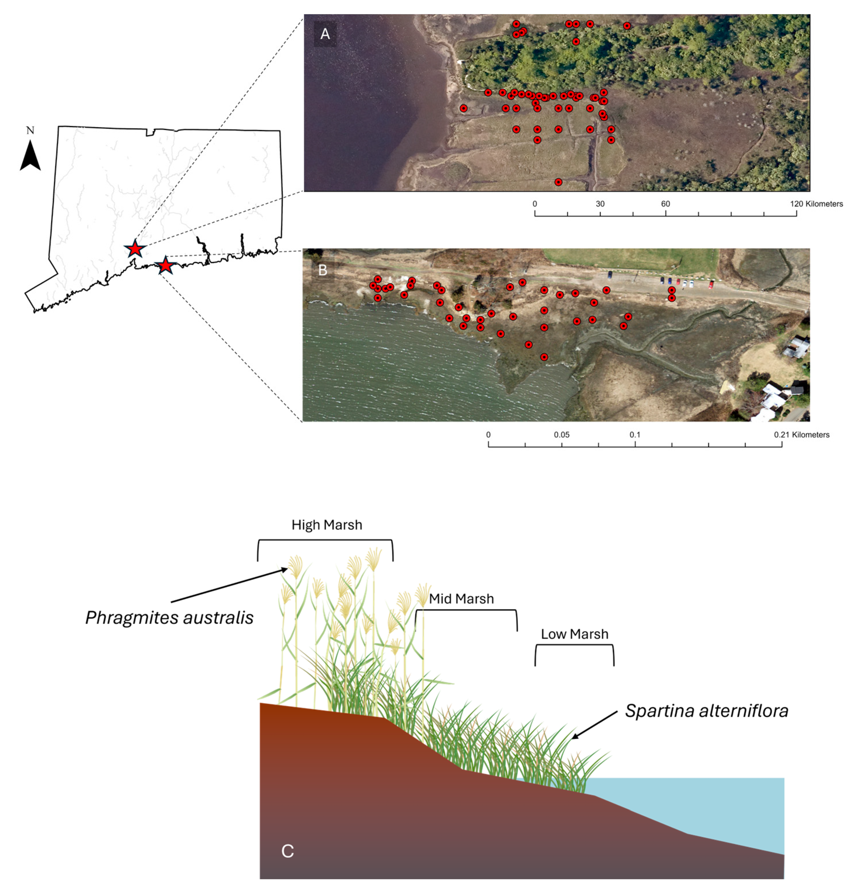 Preprints 191620 g001