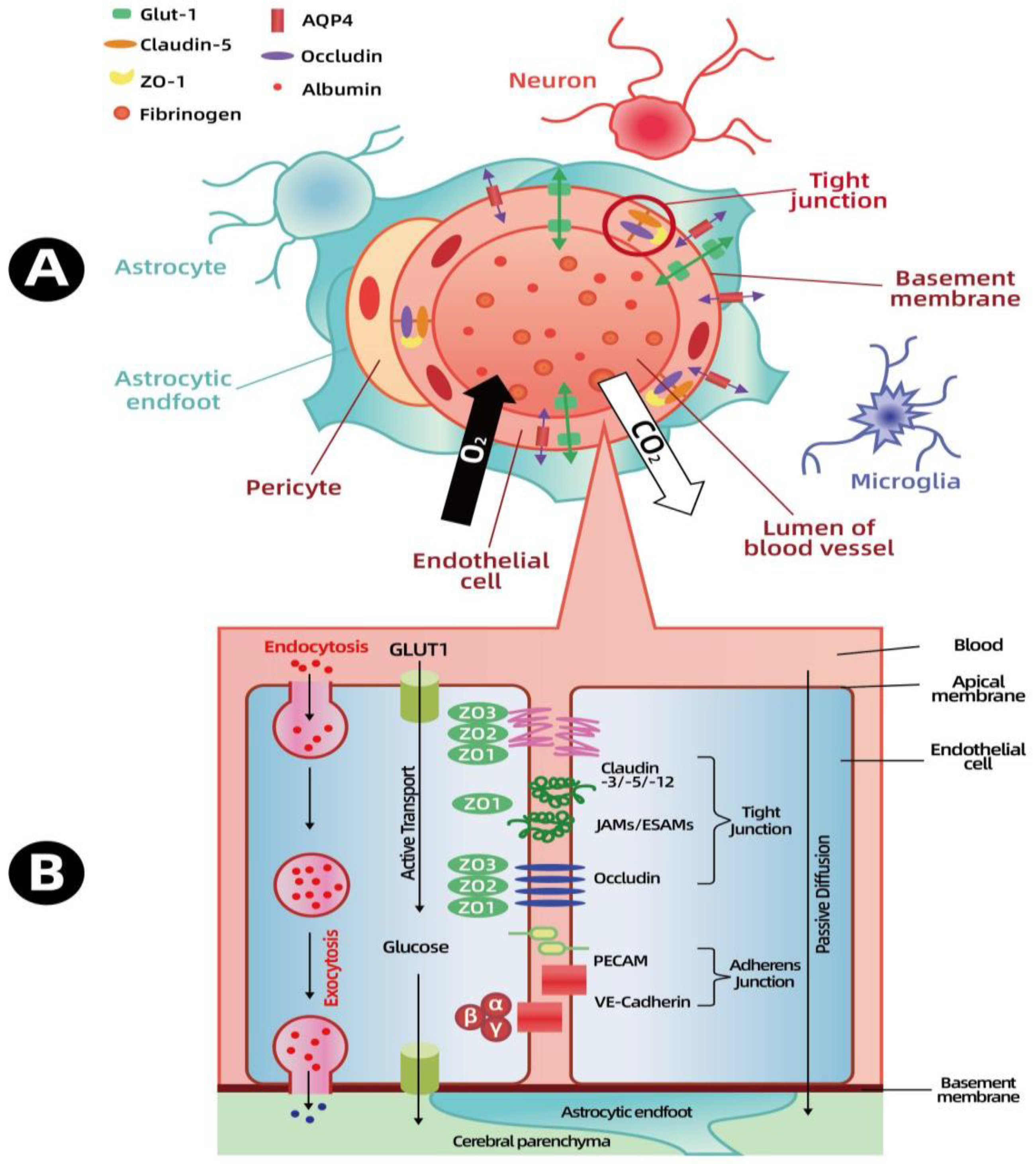 Preprints 143203 g001