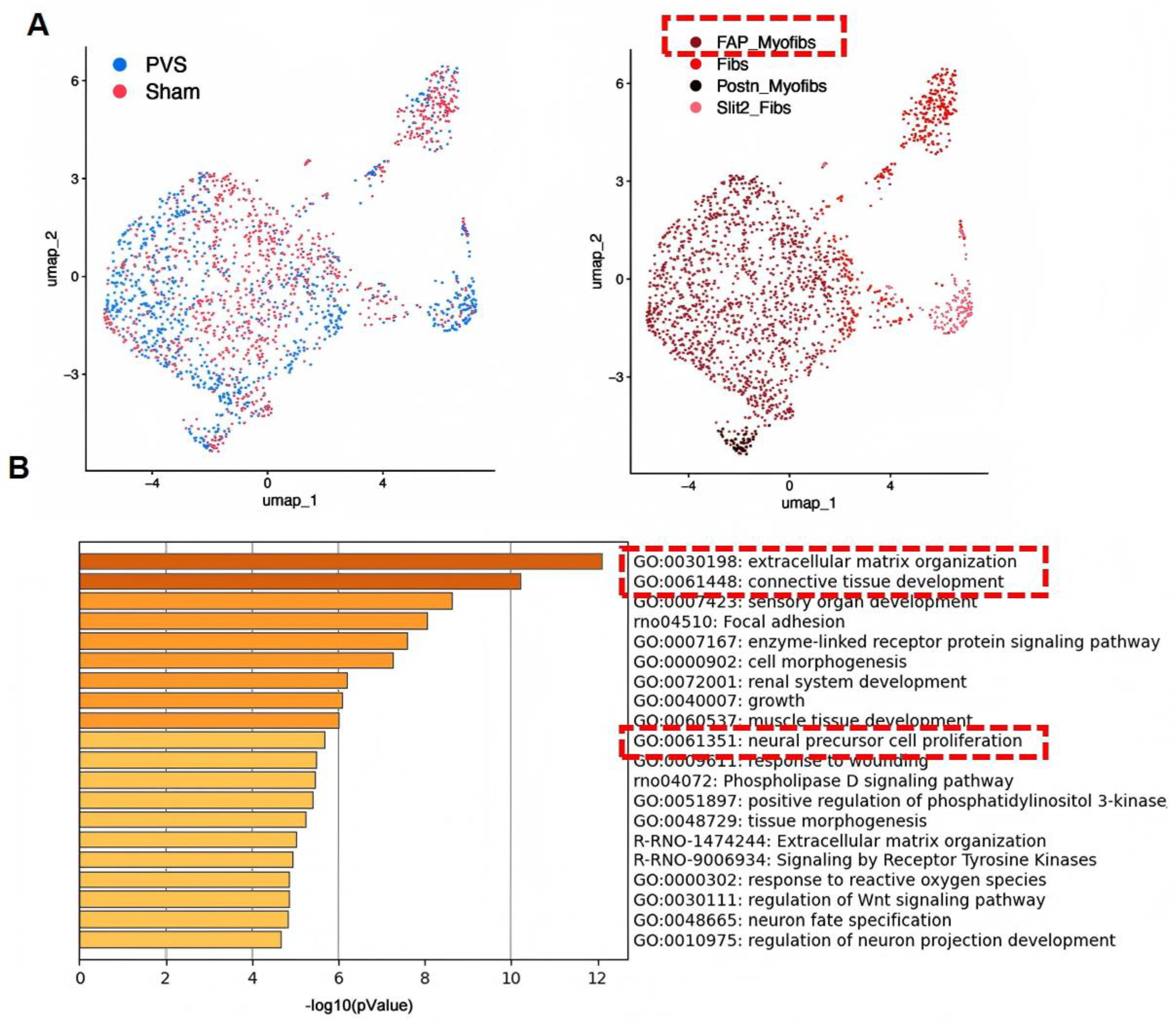 Preprints 208099 g002