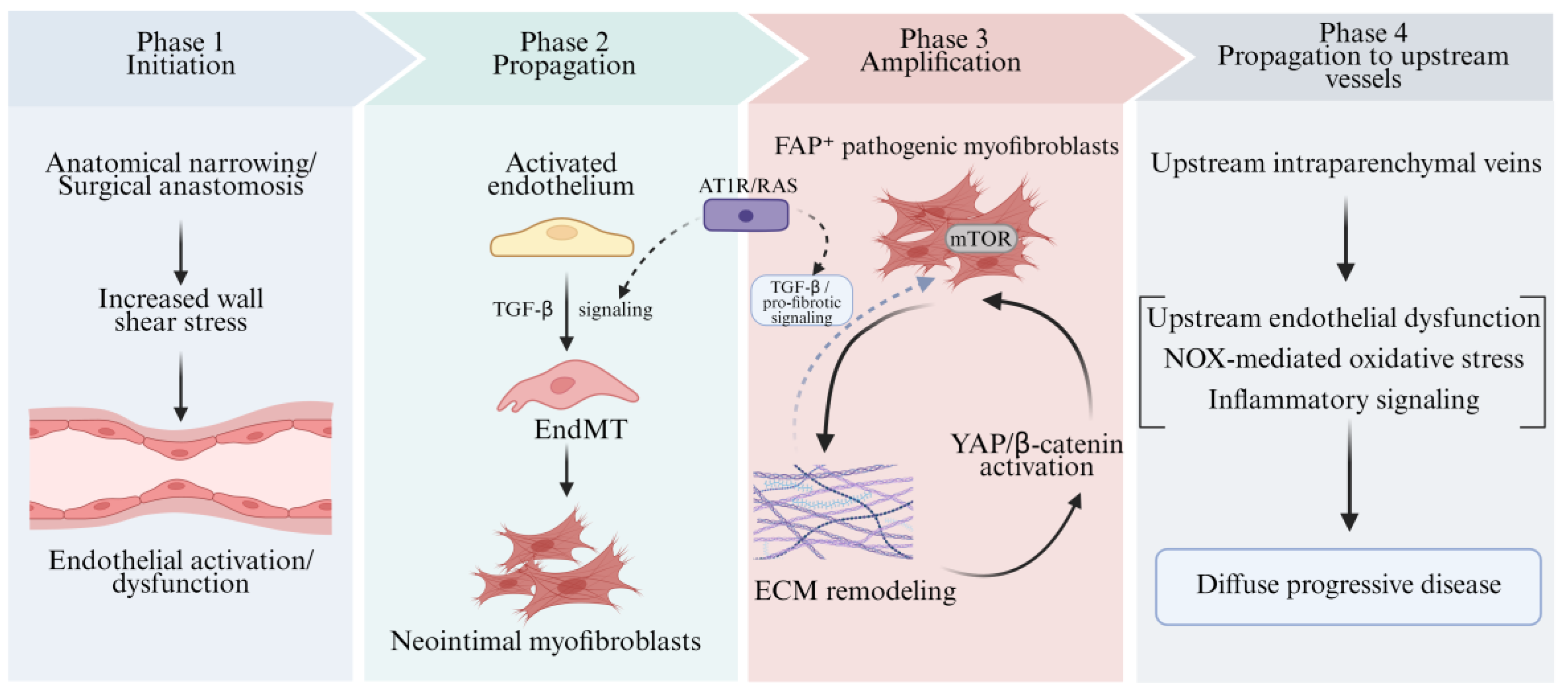 Preprints 208099 g003