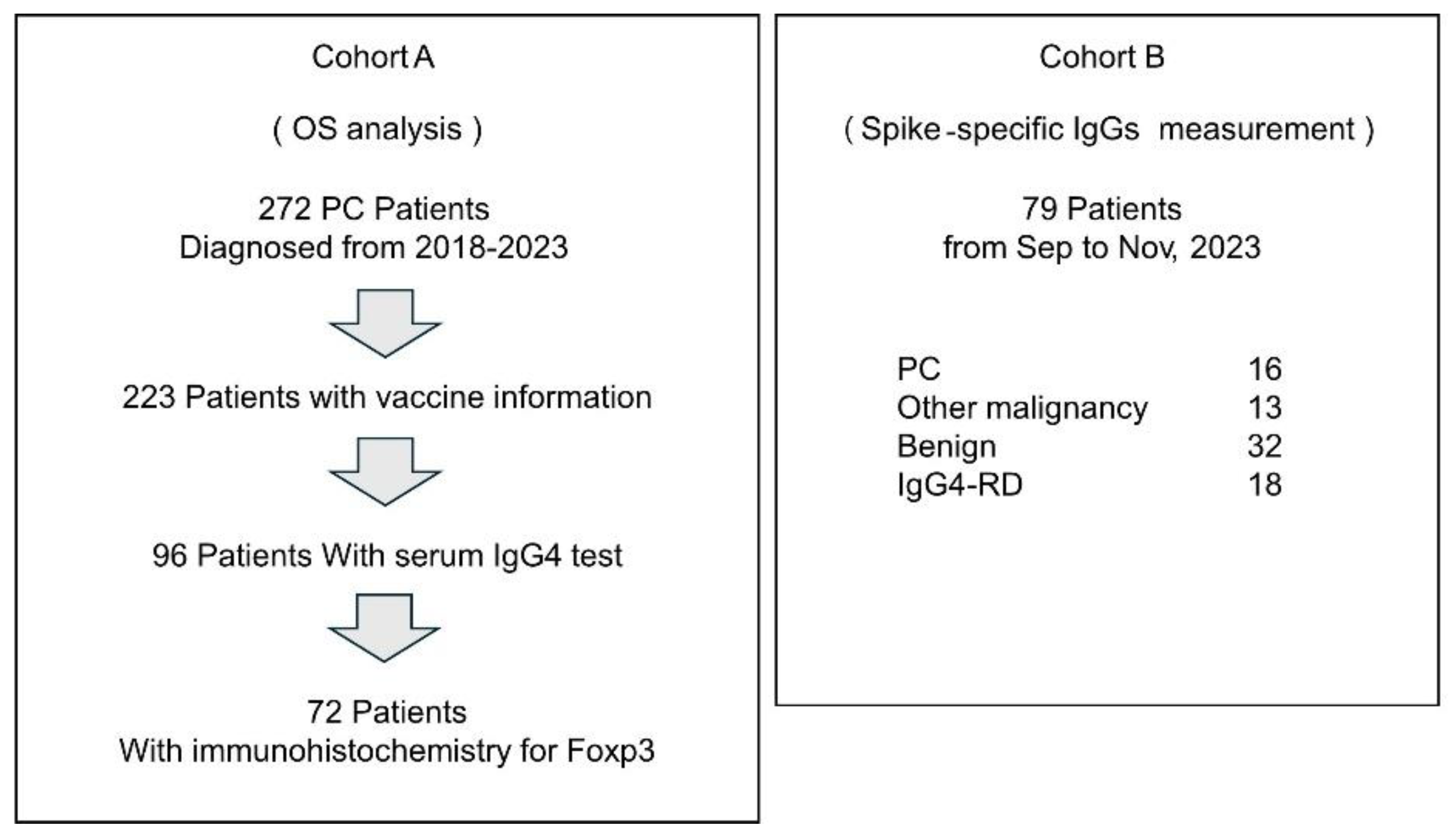 Preprints 158008 g001