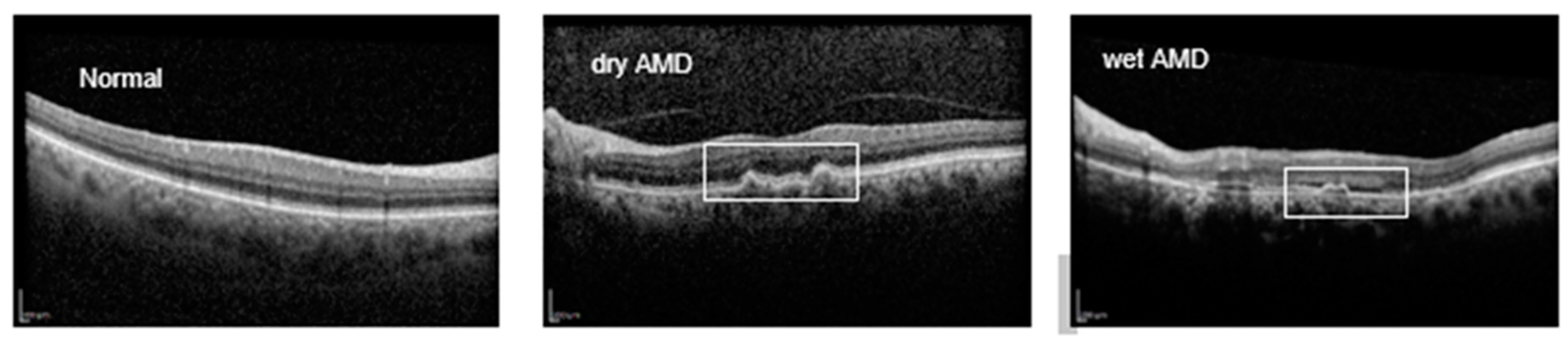 Preprints 148040 g001
