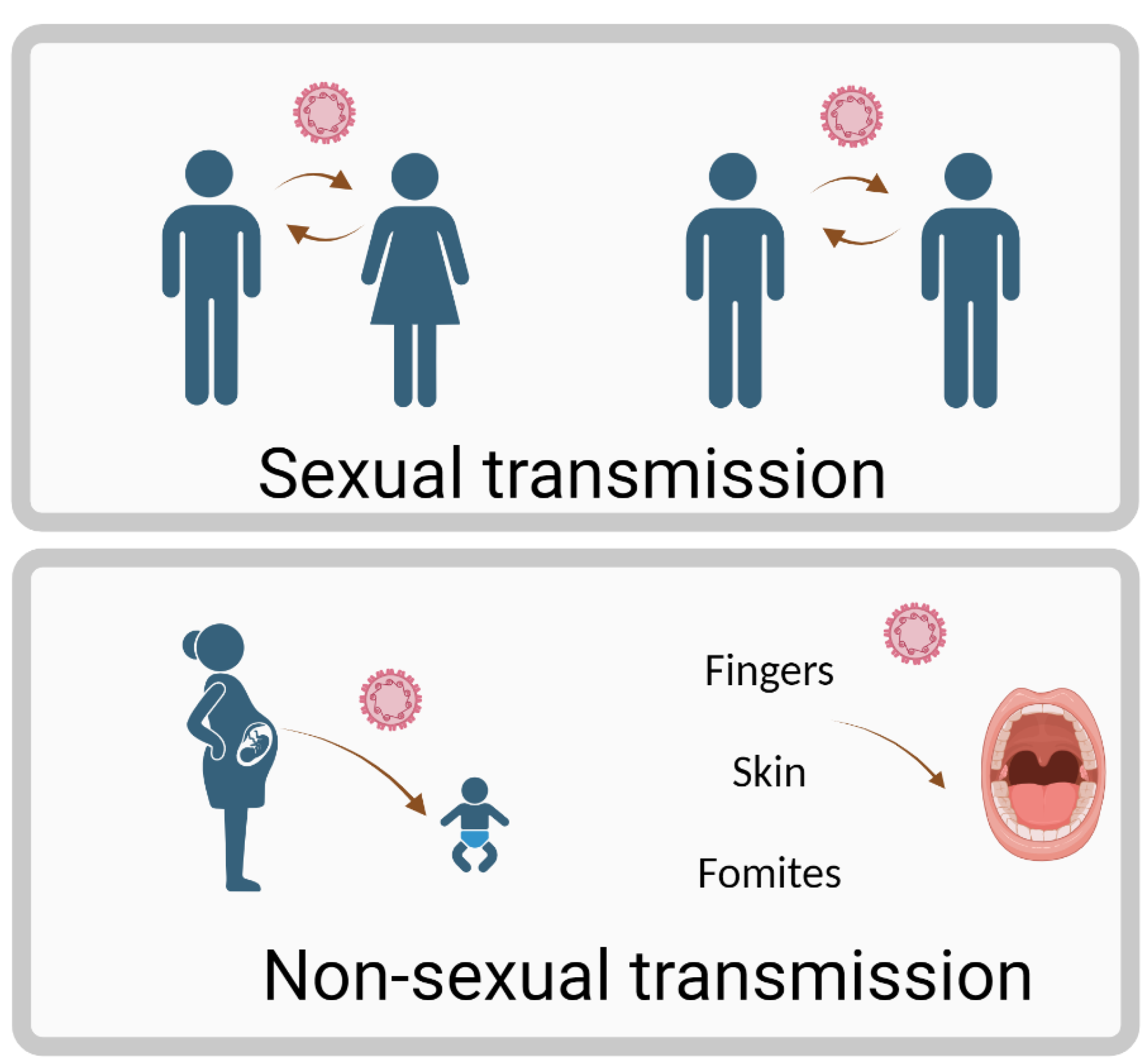 Preprints 145012 g001