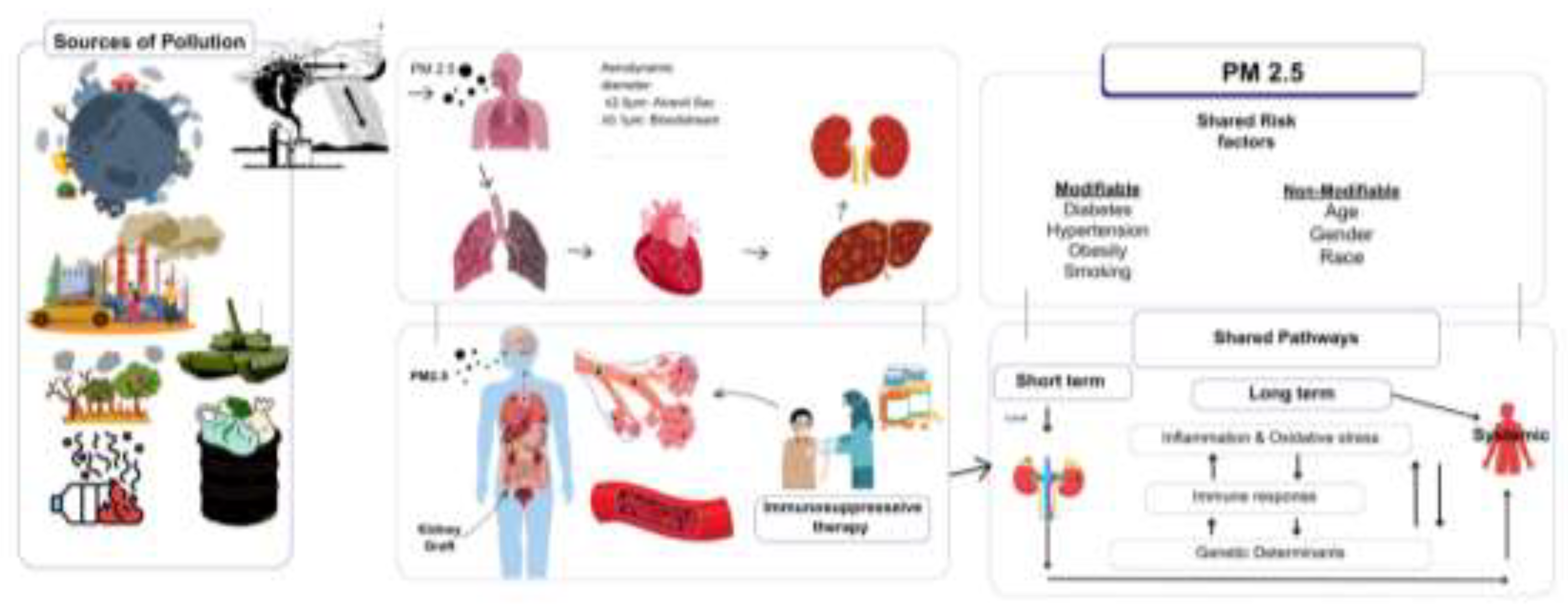 Preprints 150125 g001