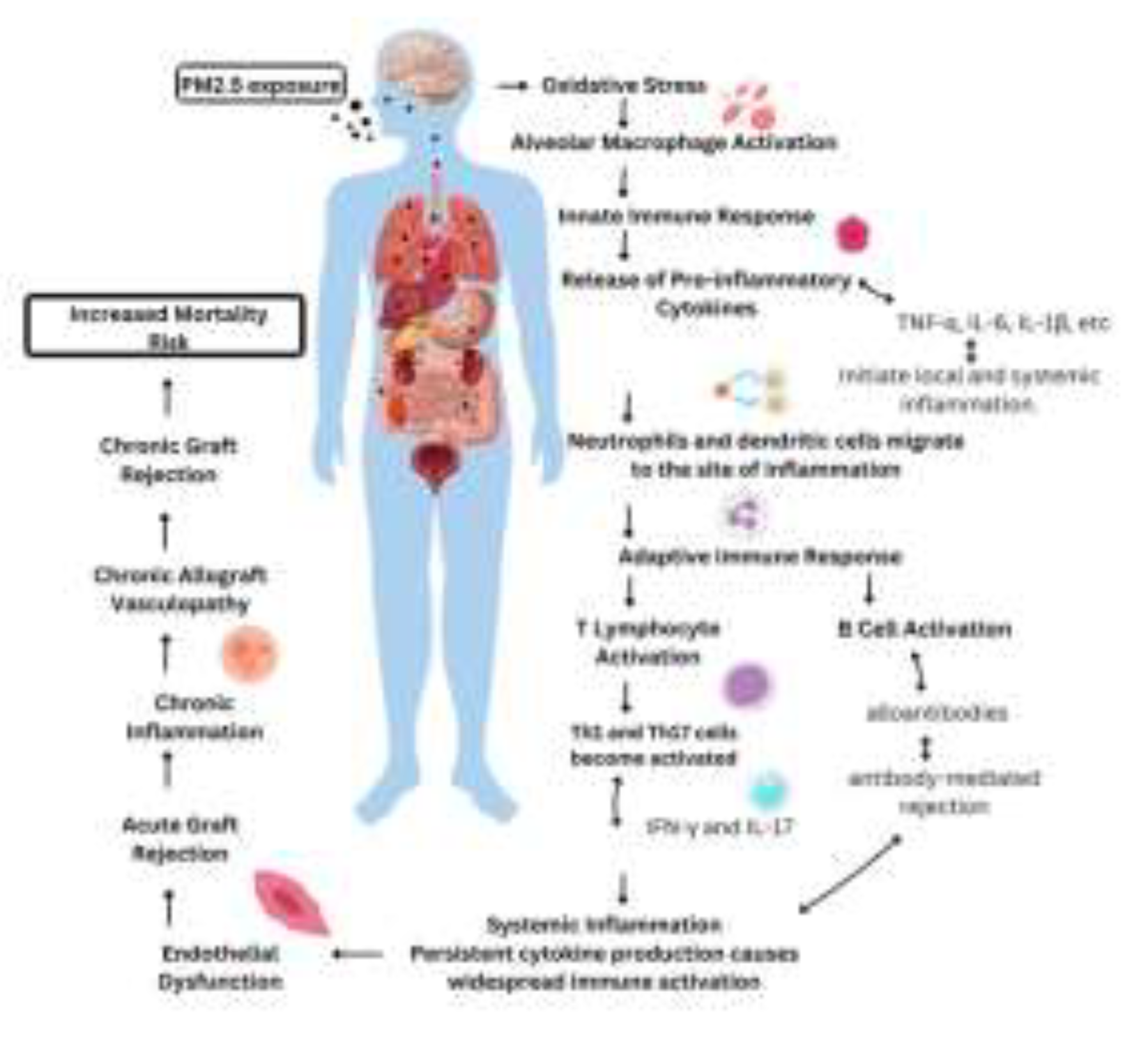 Preprints 150125 g002