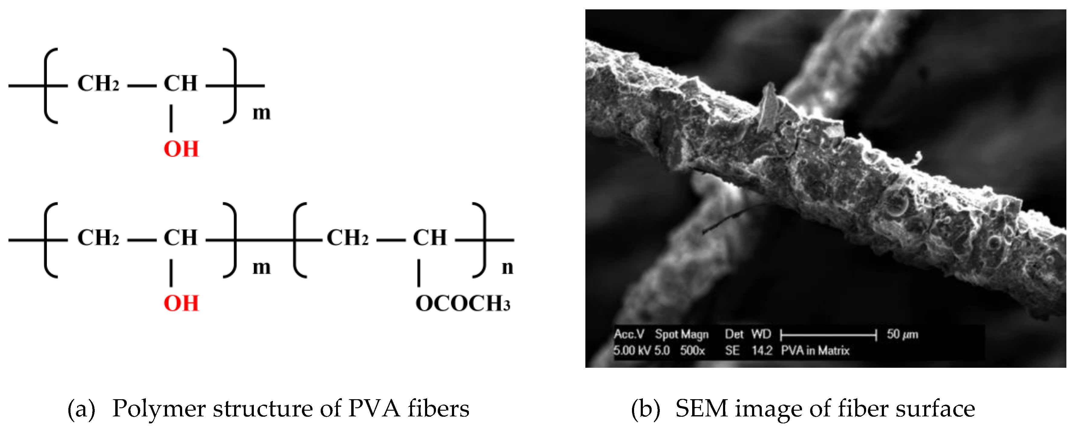 Preprints 180572 g010