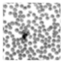 Preprints 212623 i009