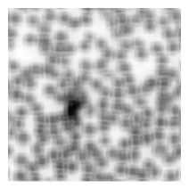 Preprints 212623 i011