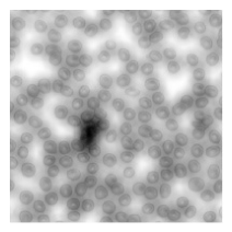 Preprints 212623 i019
