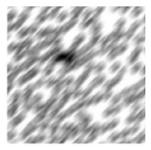 Preprints 212623 i021