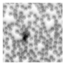 Preprints 212623 i023