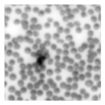 Preprints 212623 i025