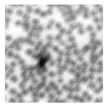 Preprints 212623 i027