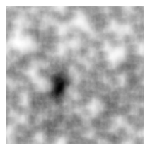 Preprints 212623 i029
