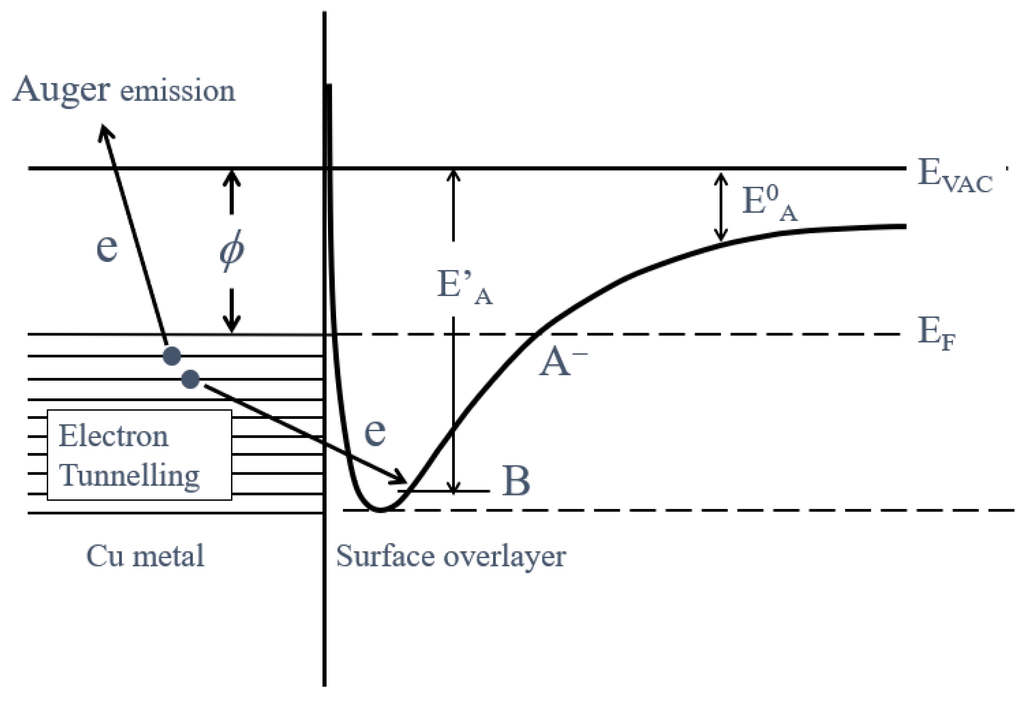 Preprints 92320 g013