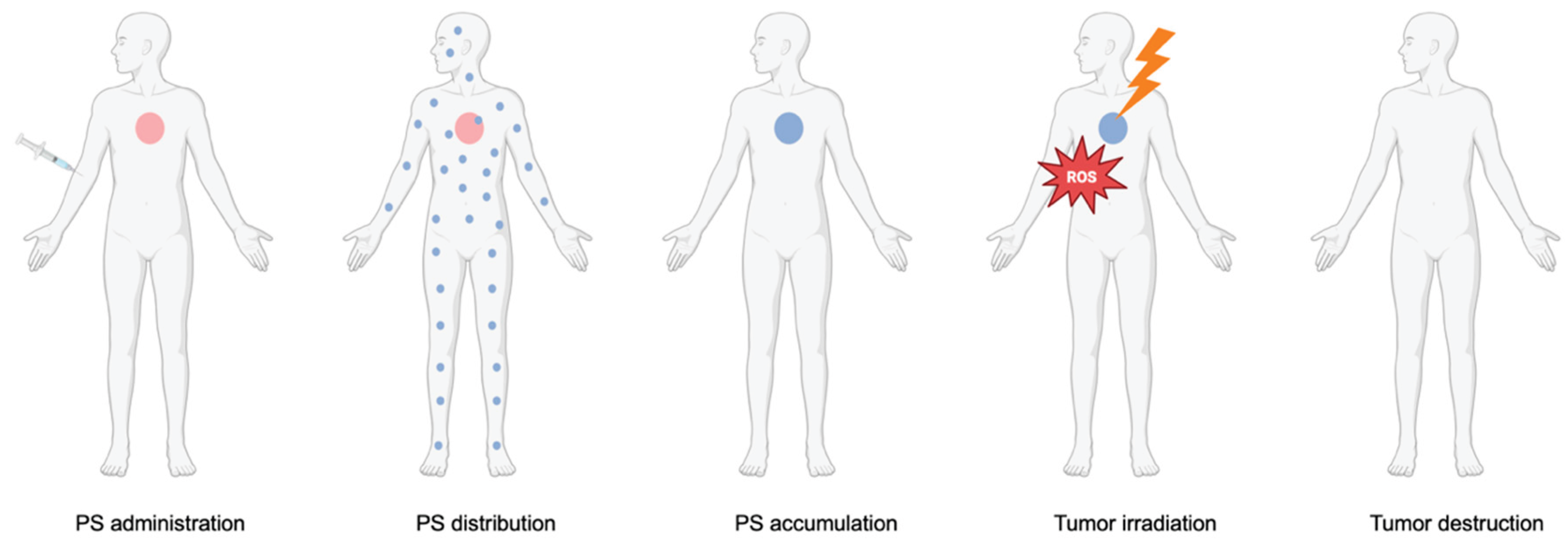 Preprints 170721 g001