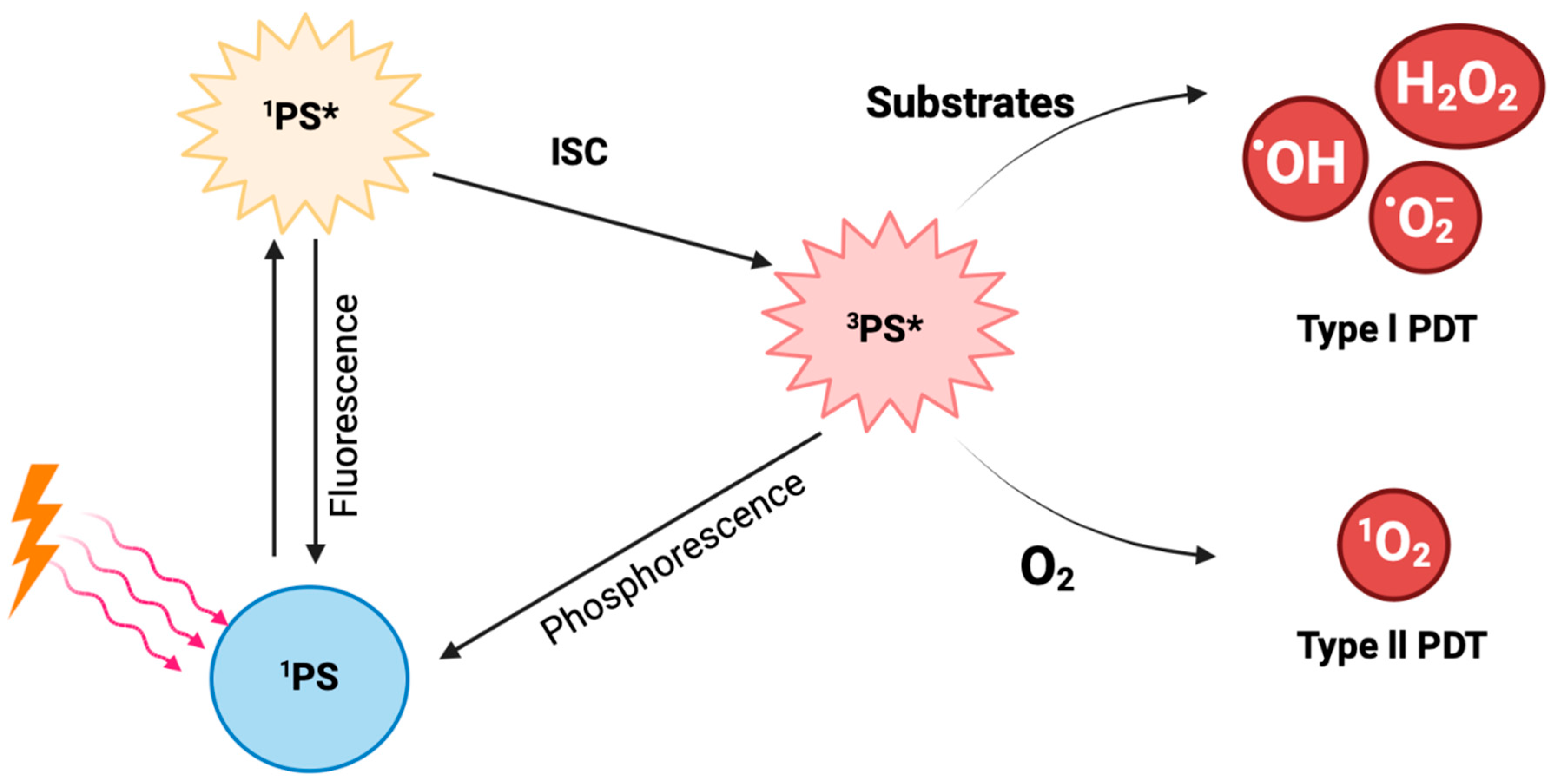 Preprints 170721 g002