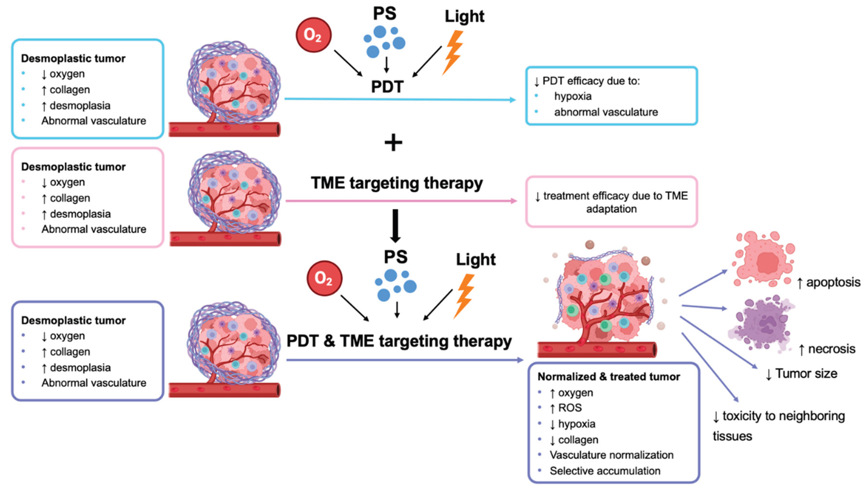 Preprints 170721 g003
