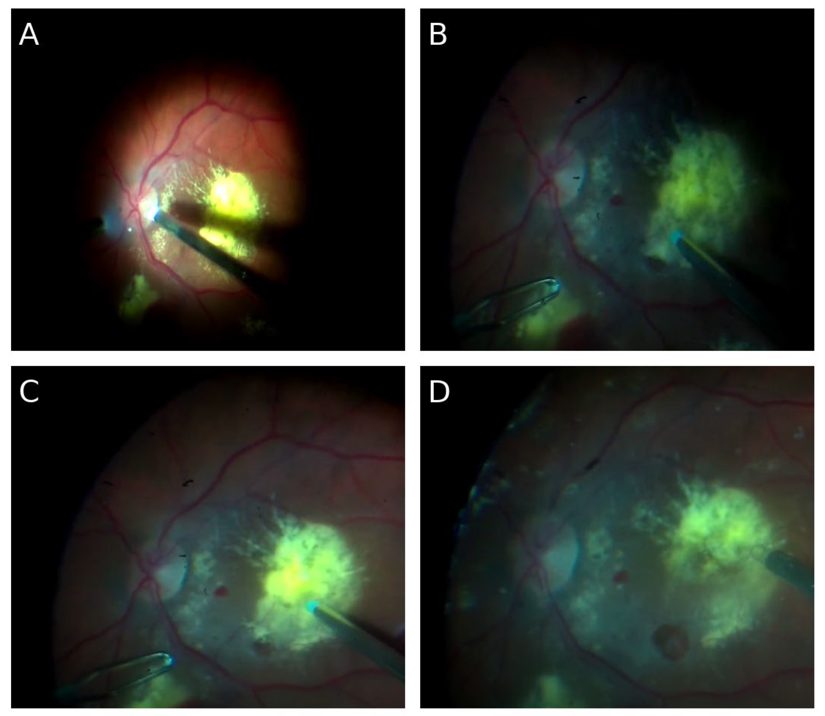 Preprints 177085 g001