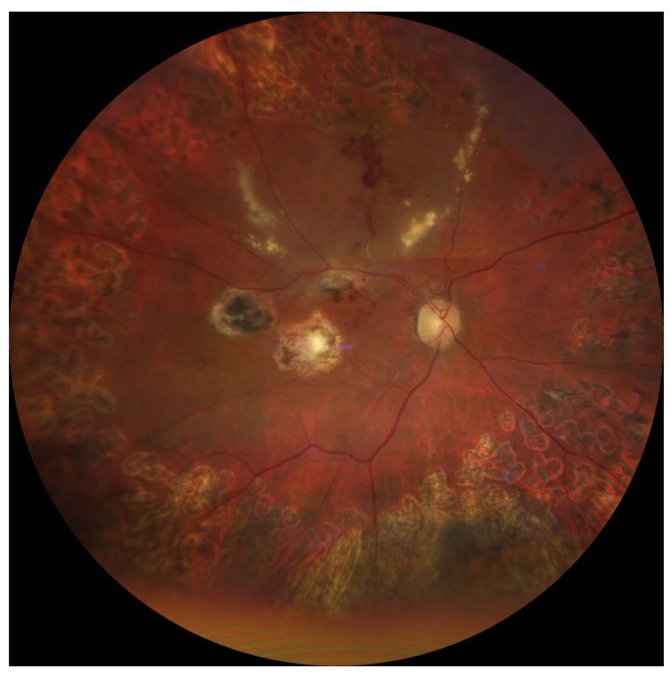 Preprints 177085 g002