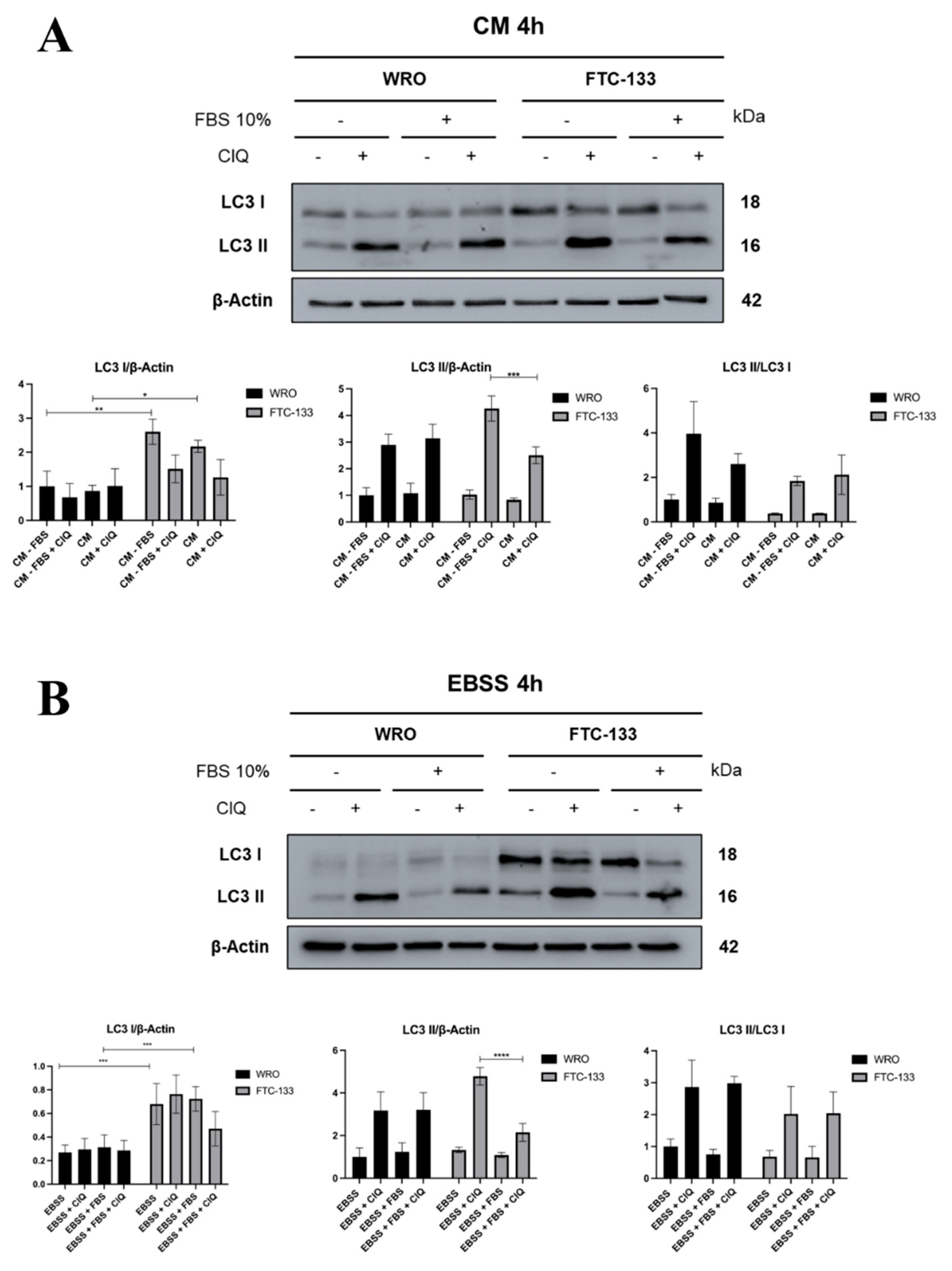 Preprints 197887 g001