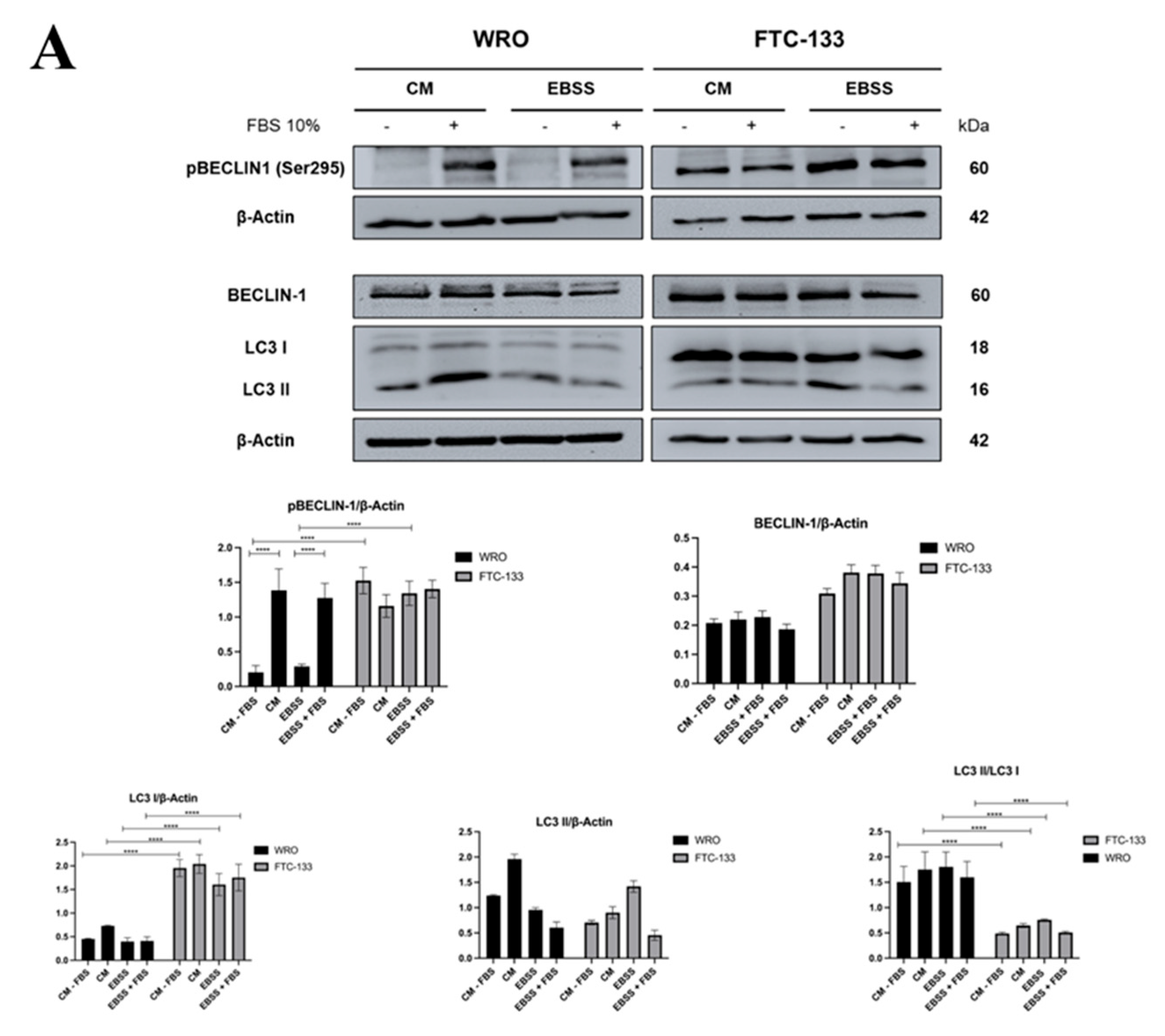 Preprints 197887 g002