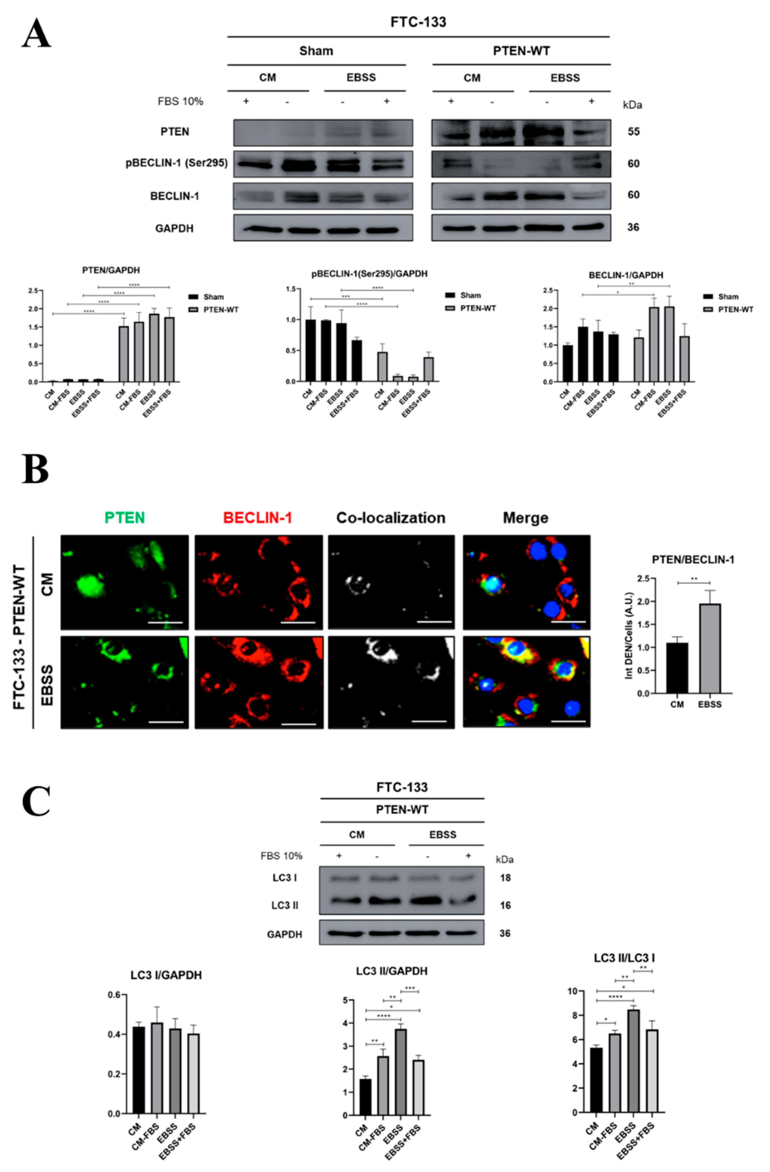 Preprints 197887 g004