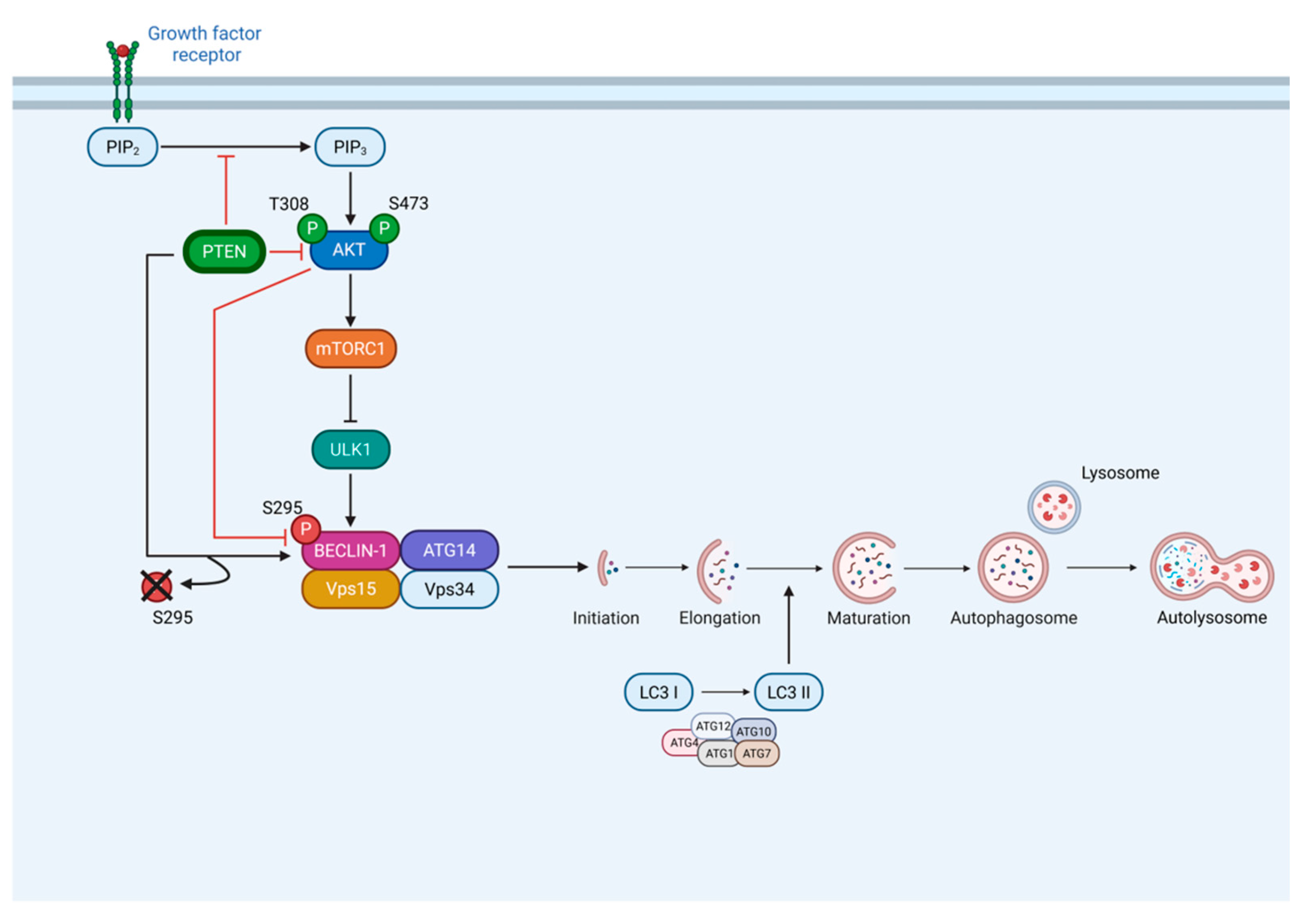 Preprints 197887 g007