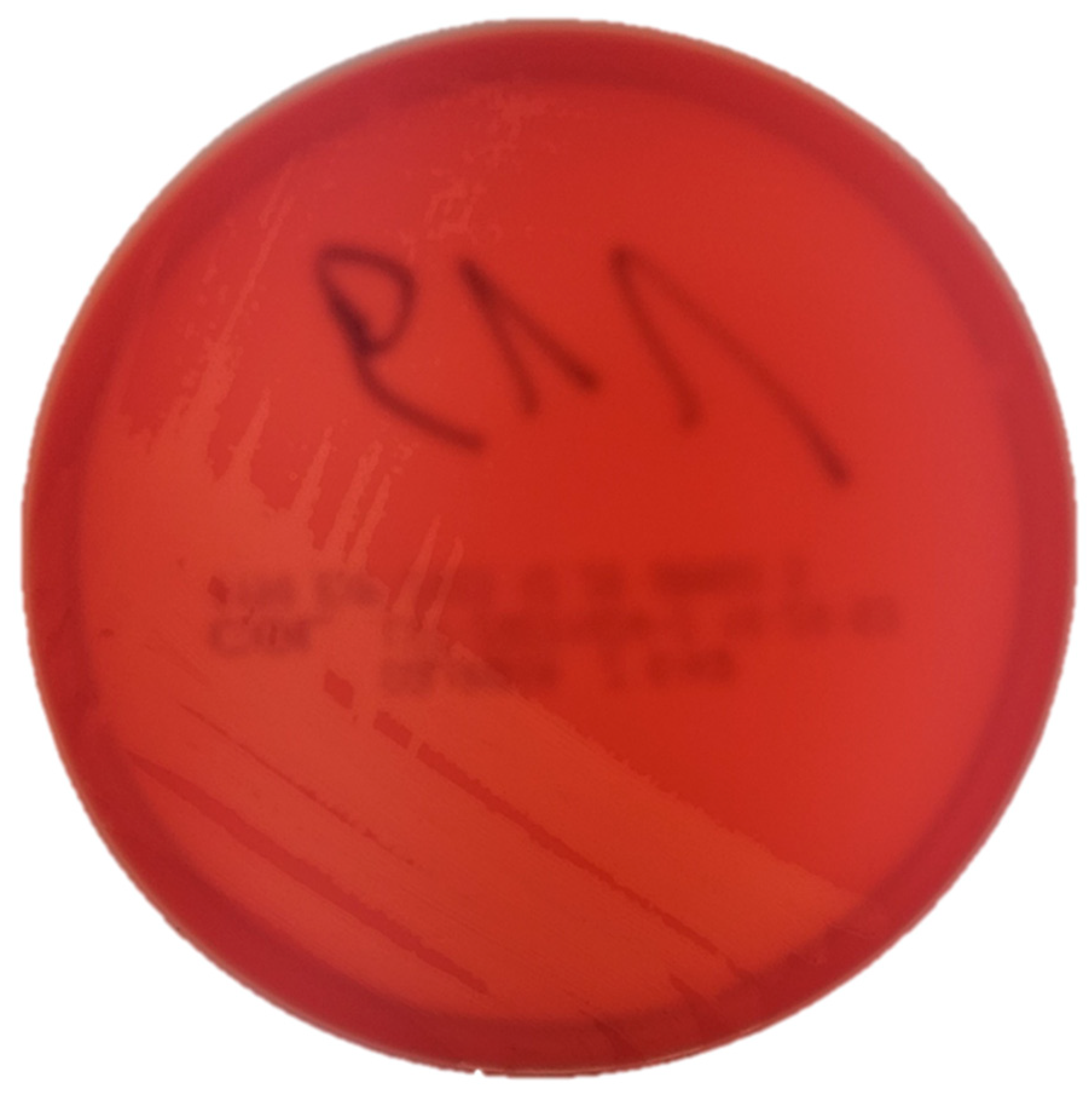 Preprints 157864 g001