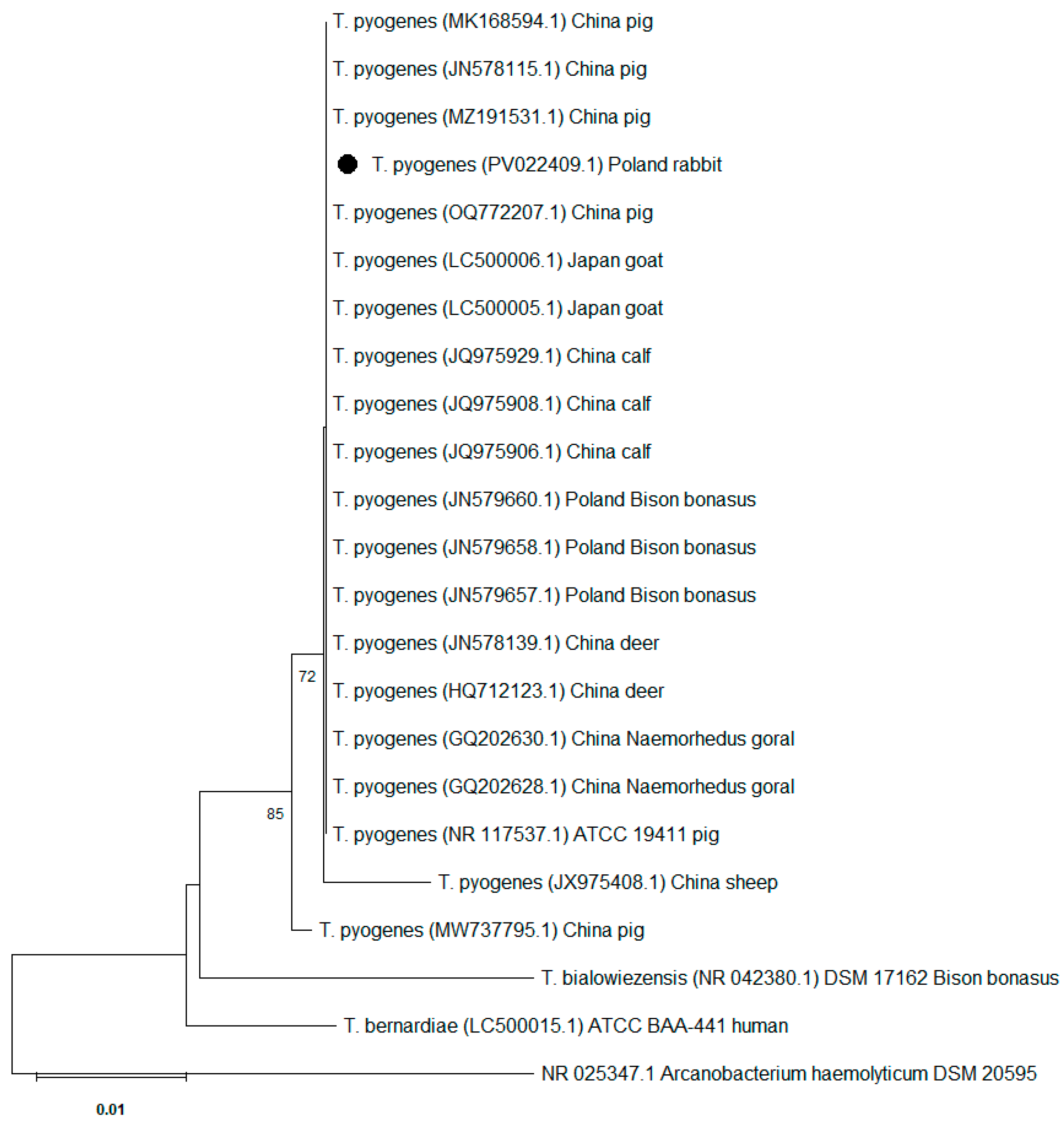 Preprints 157864 g002