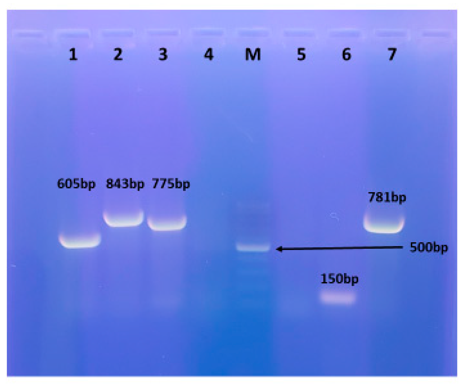 Preprints 157864 g003