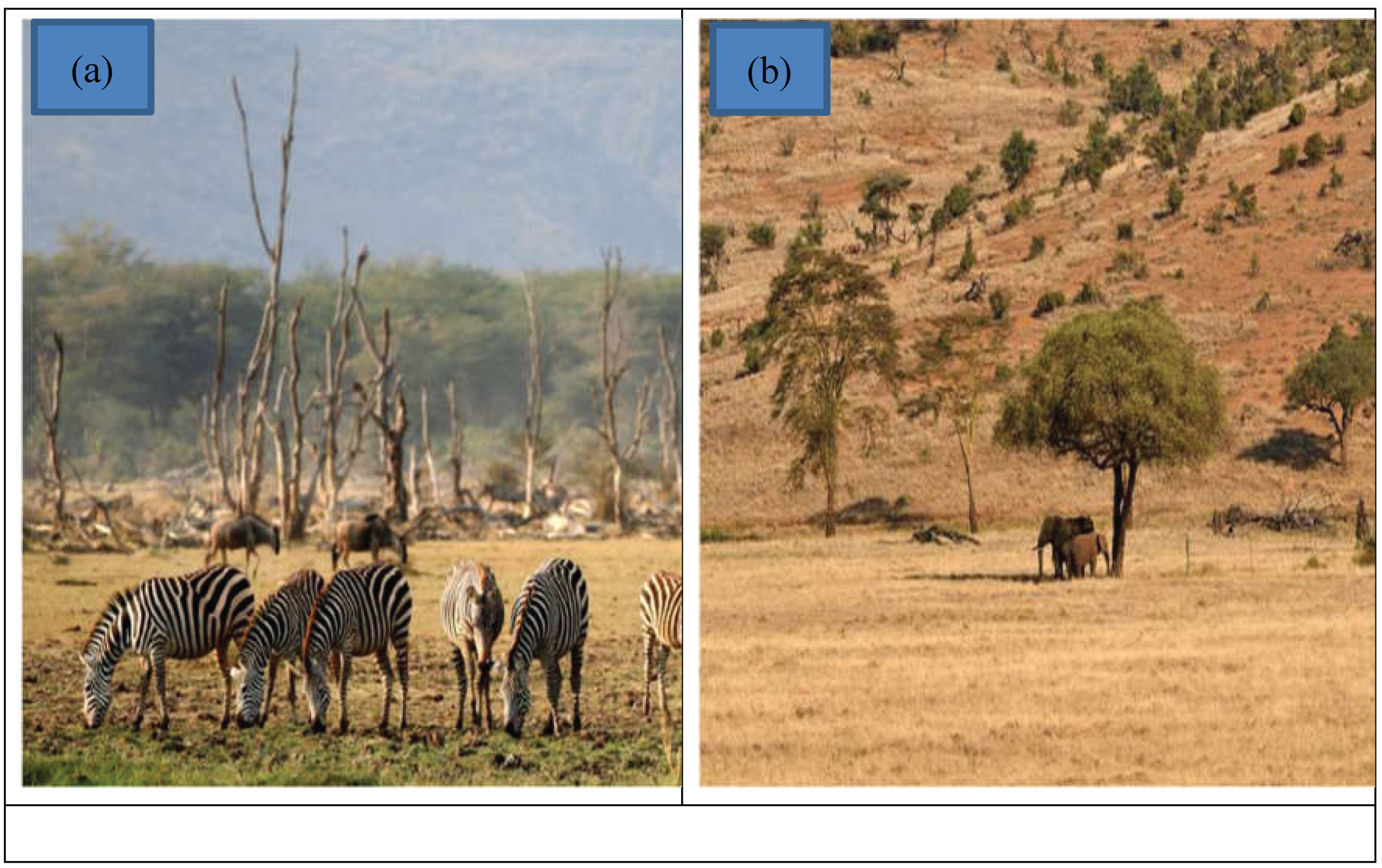 Preprints 192351 g002