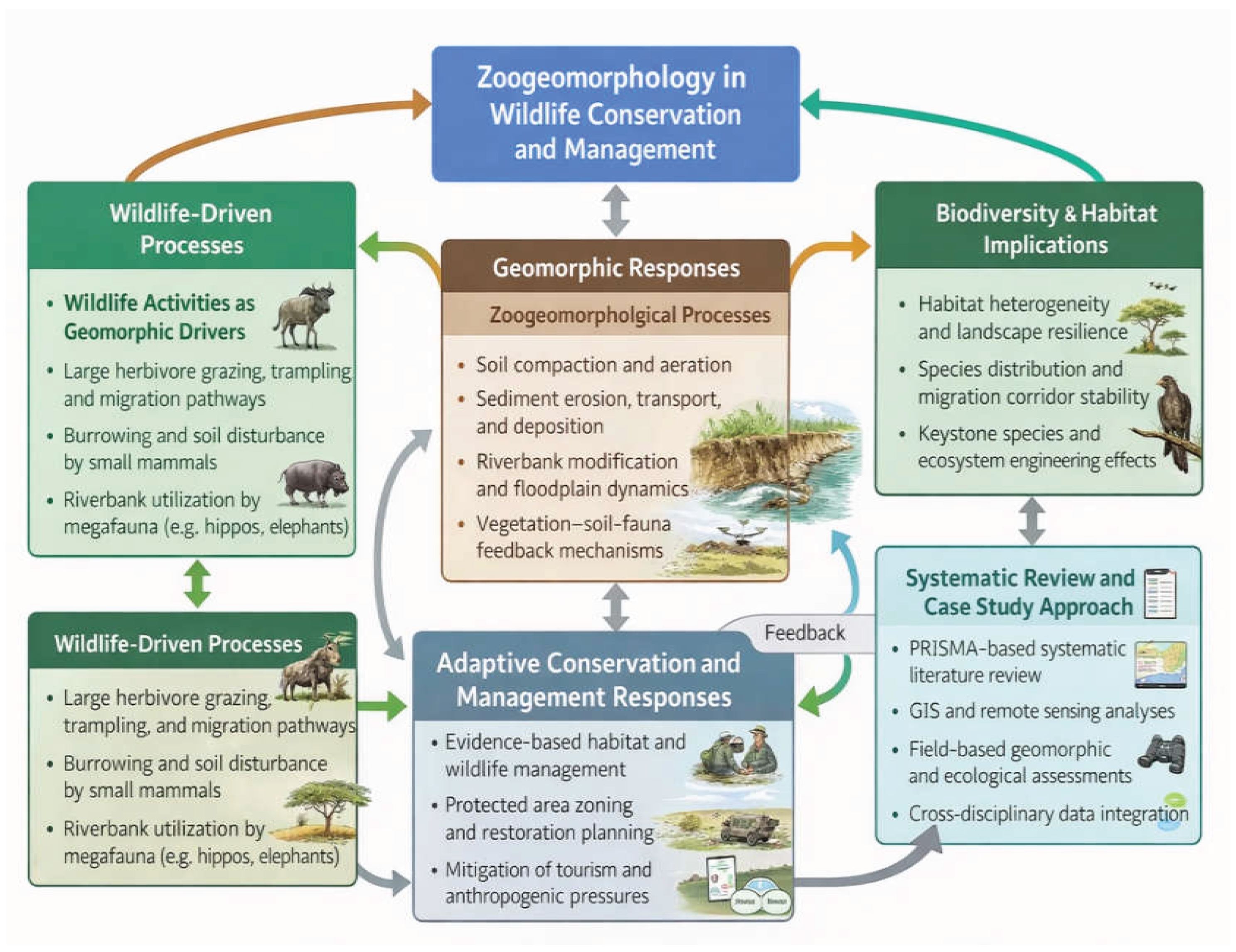 Preprints 192351 g006