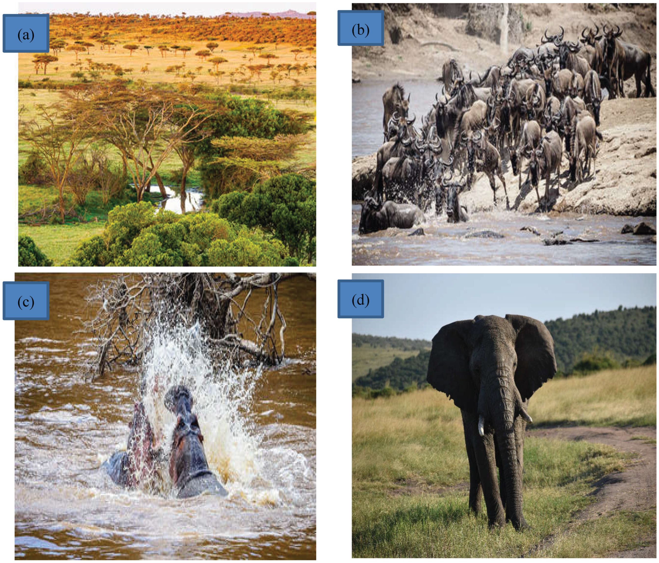 Preprints 192351 g007