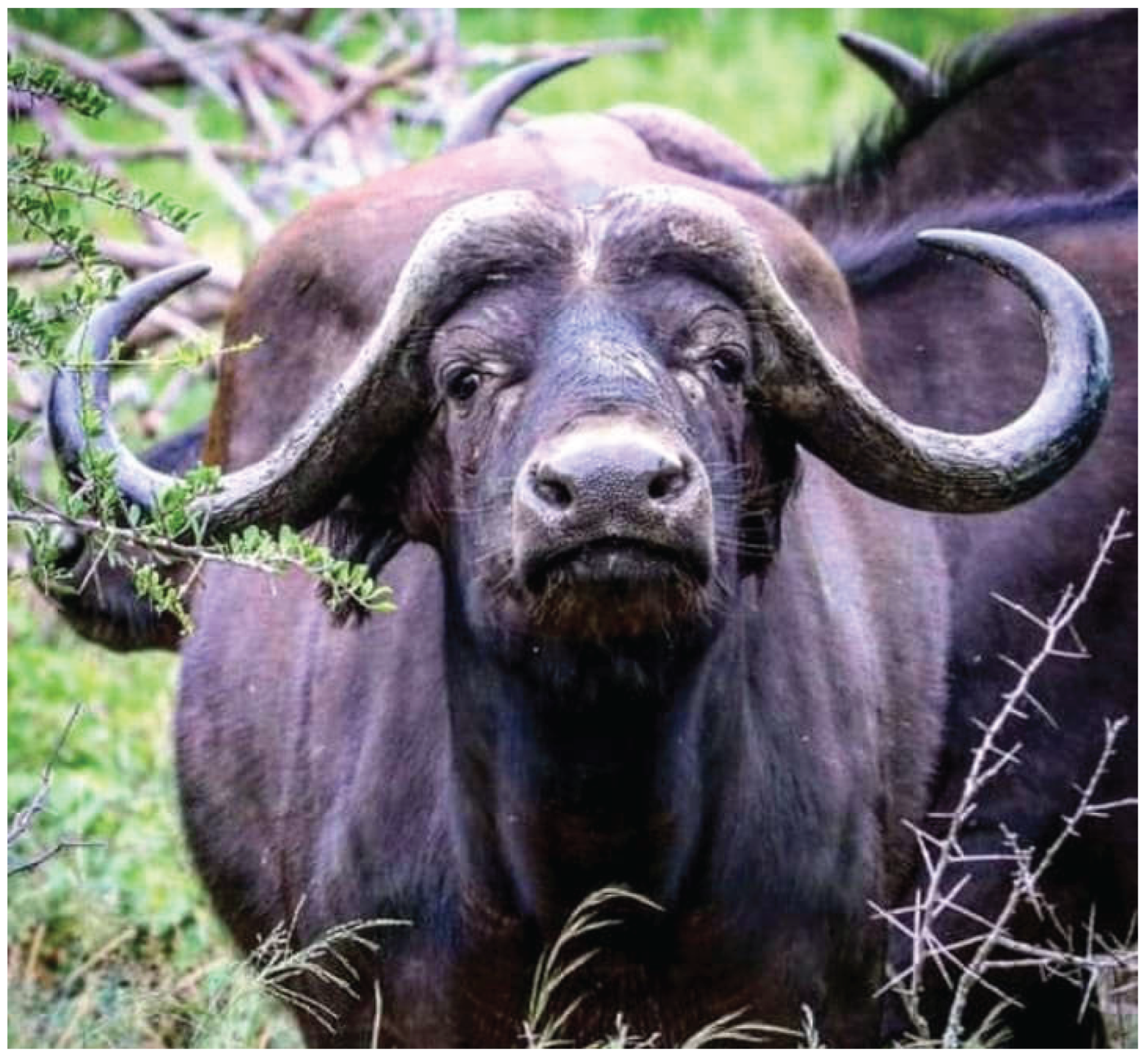 Preprints 192351 g008