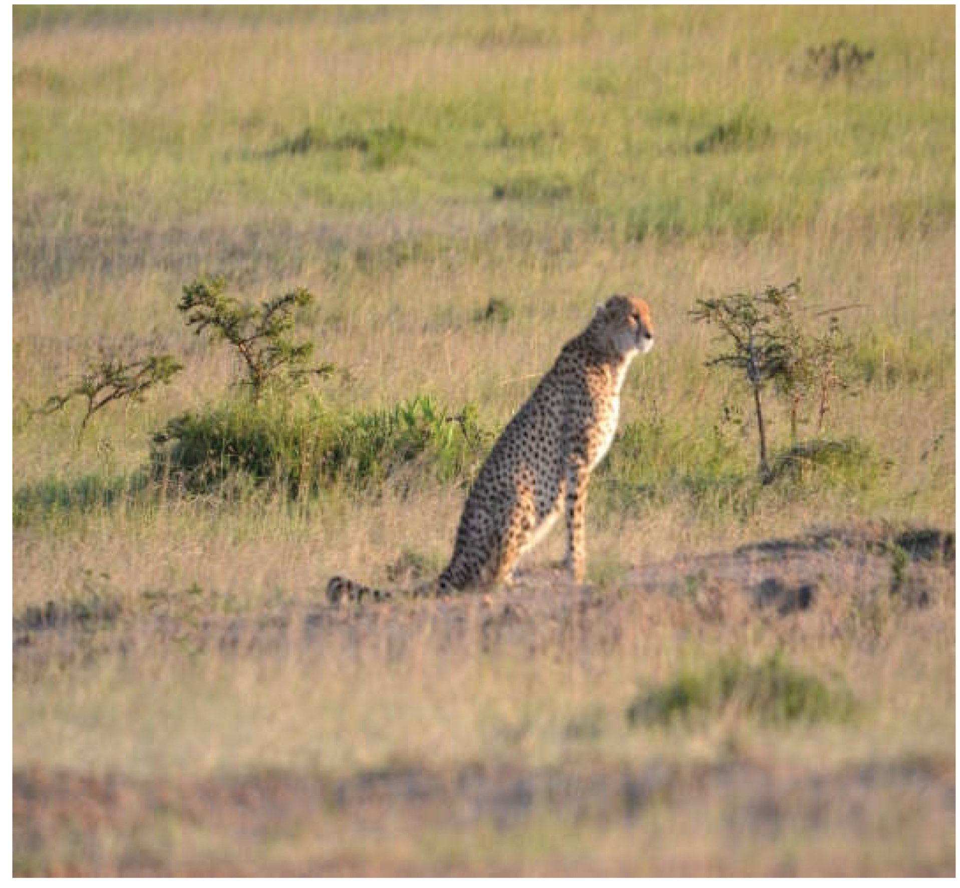 Preprints 192351 g009