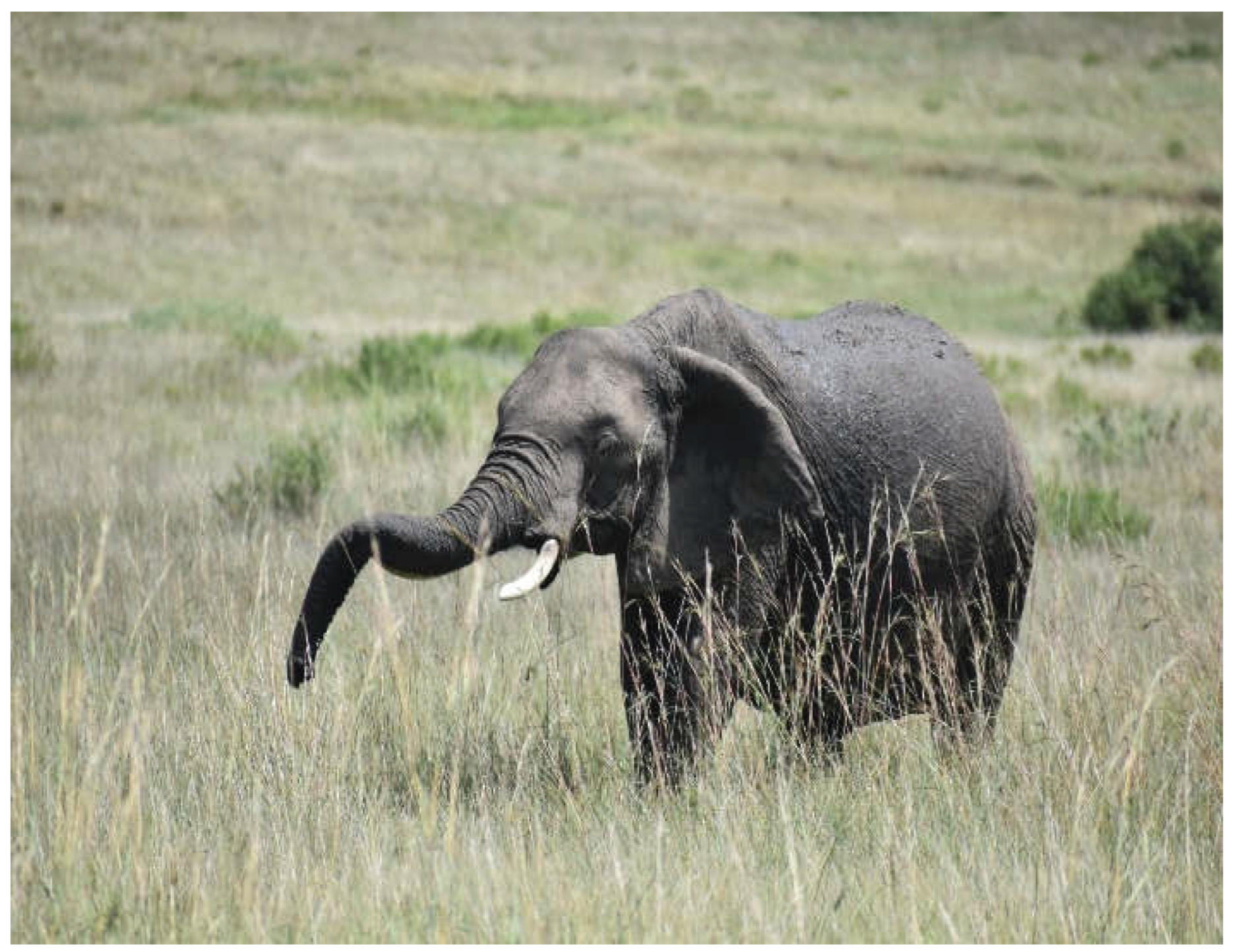 Preprints 192351 g012